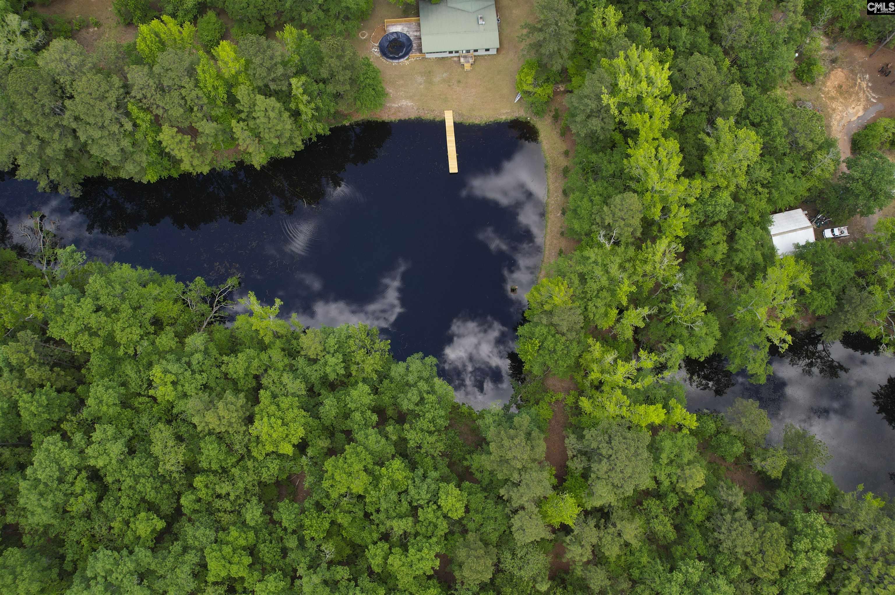 199 Dowd Drive, Gaston, South Carolina image 31