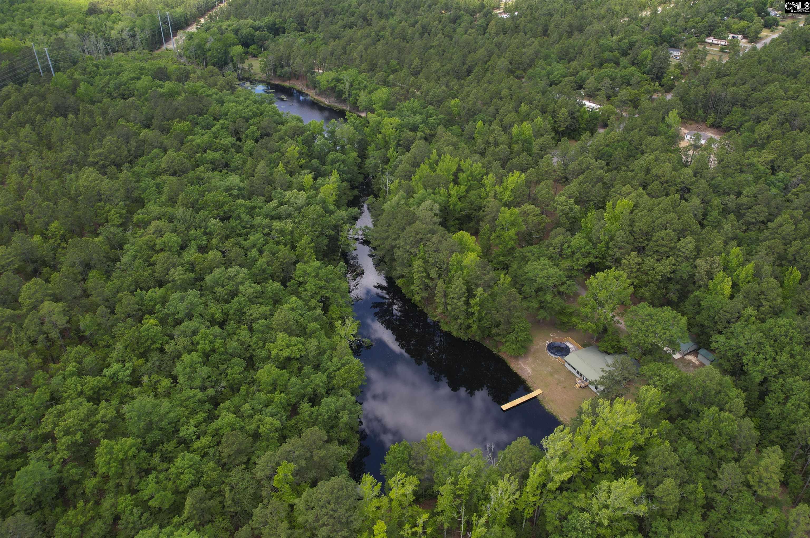 199 Dowd Drive, Gaston, South Carolina image 32