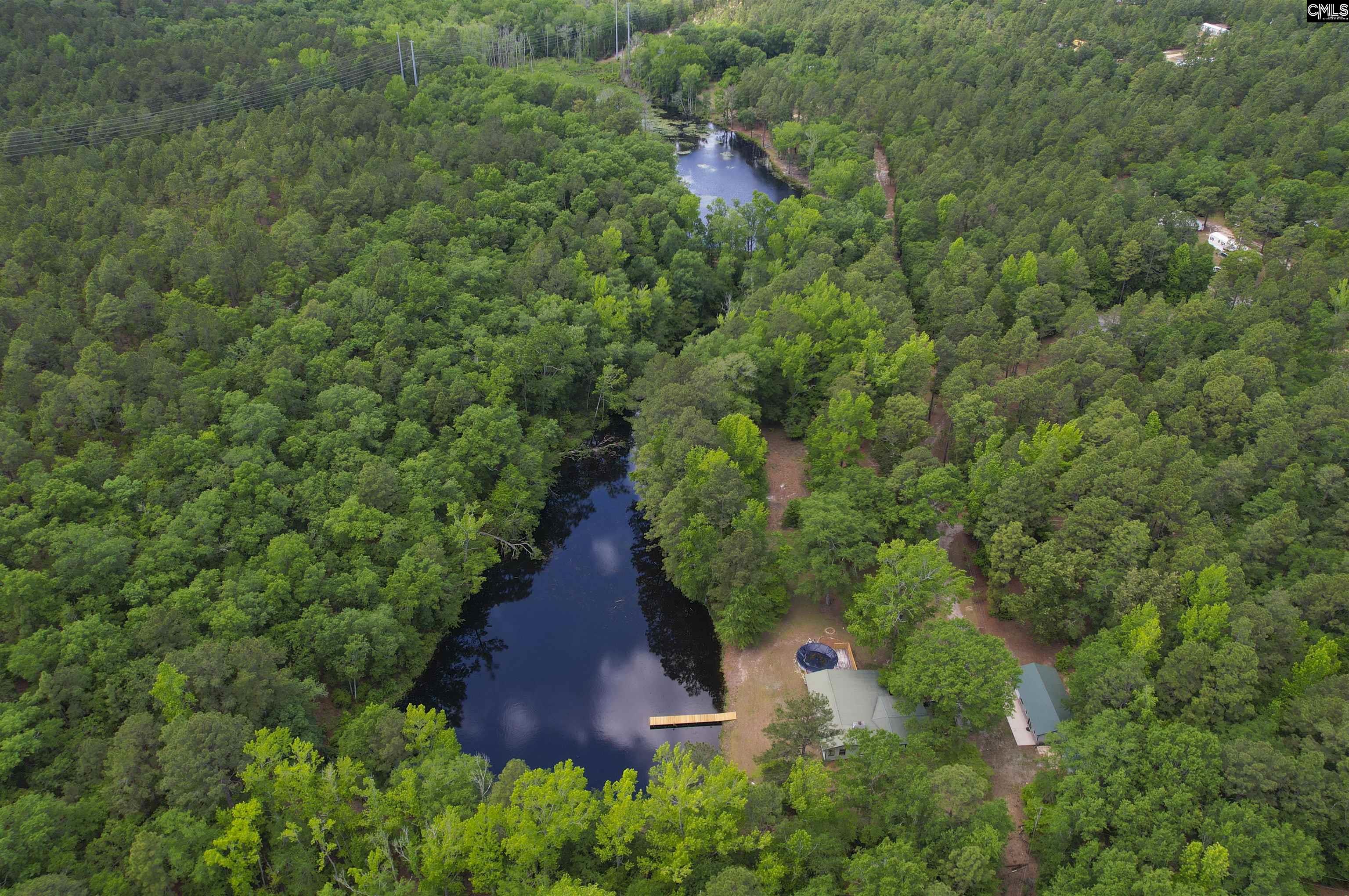 199 Dowd Drive, Gaston, South Carolina image 33