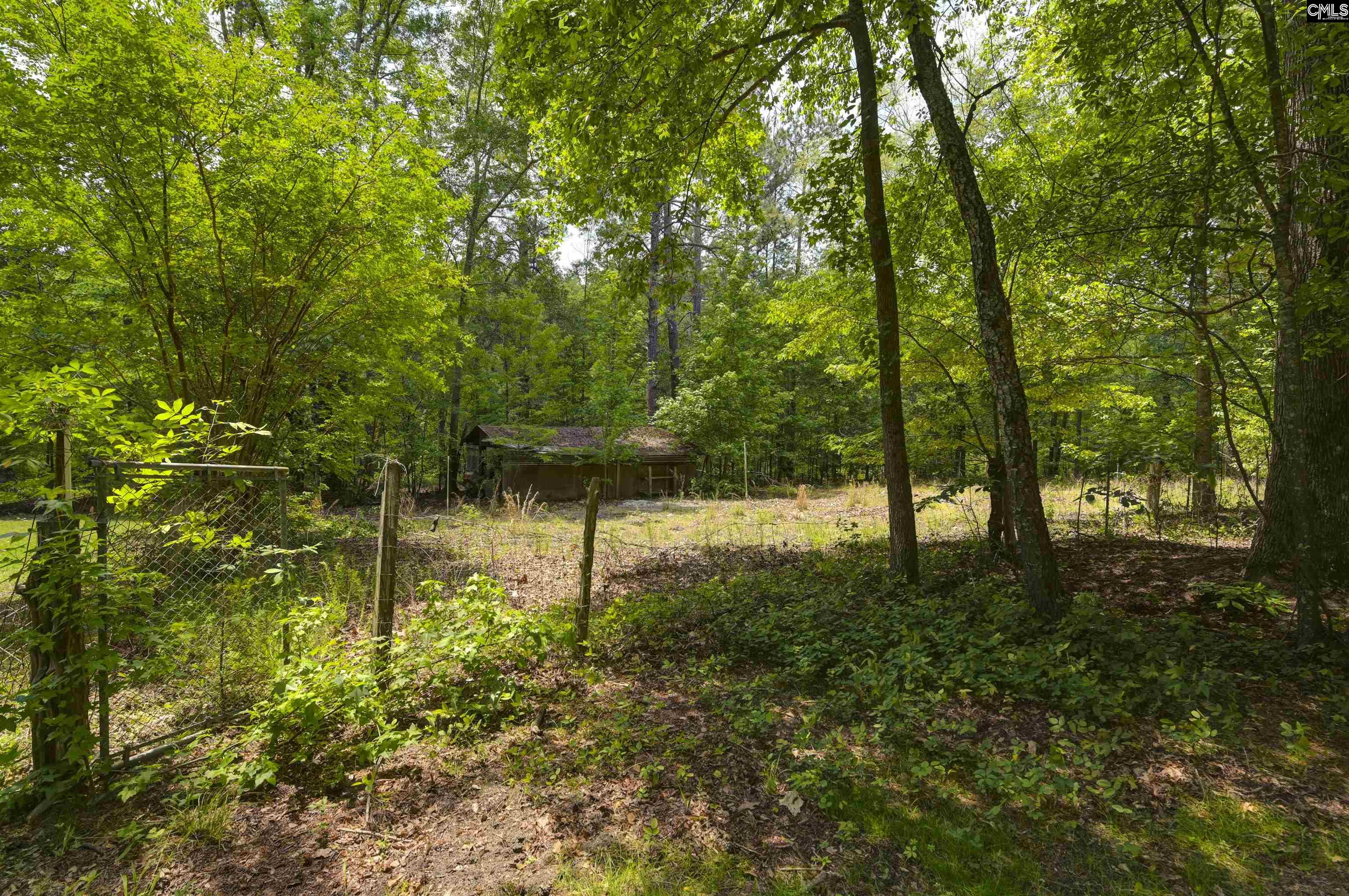 199 Dowd Drive, Gaston, South Carolina image 10