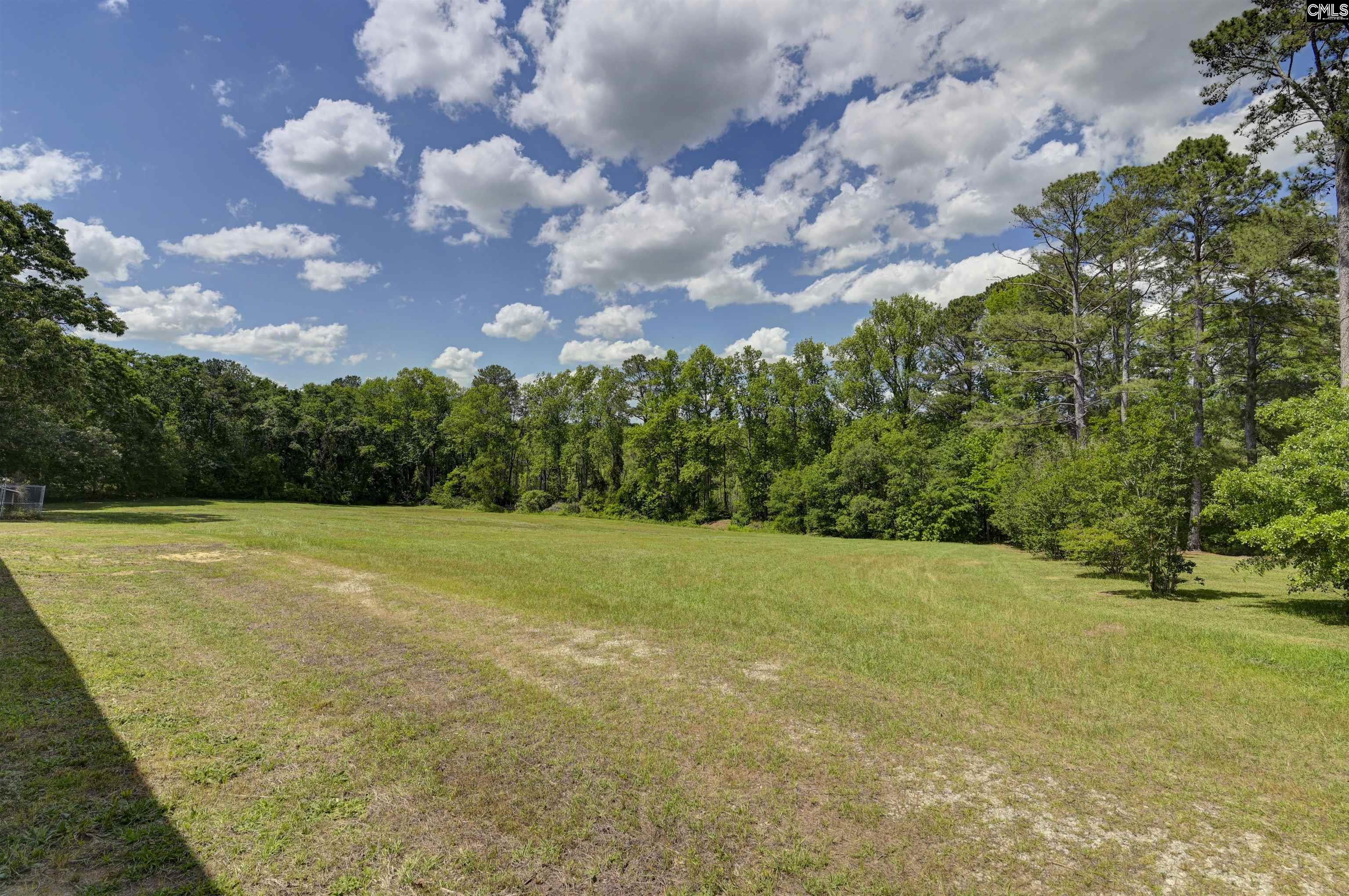 644 Nathan Miller Road, Gilbert, South Carolina image 13