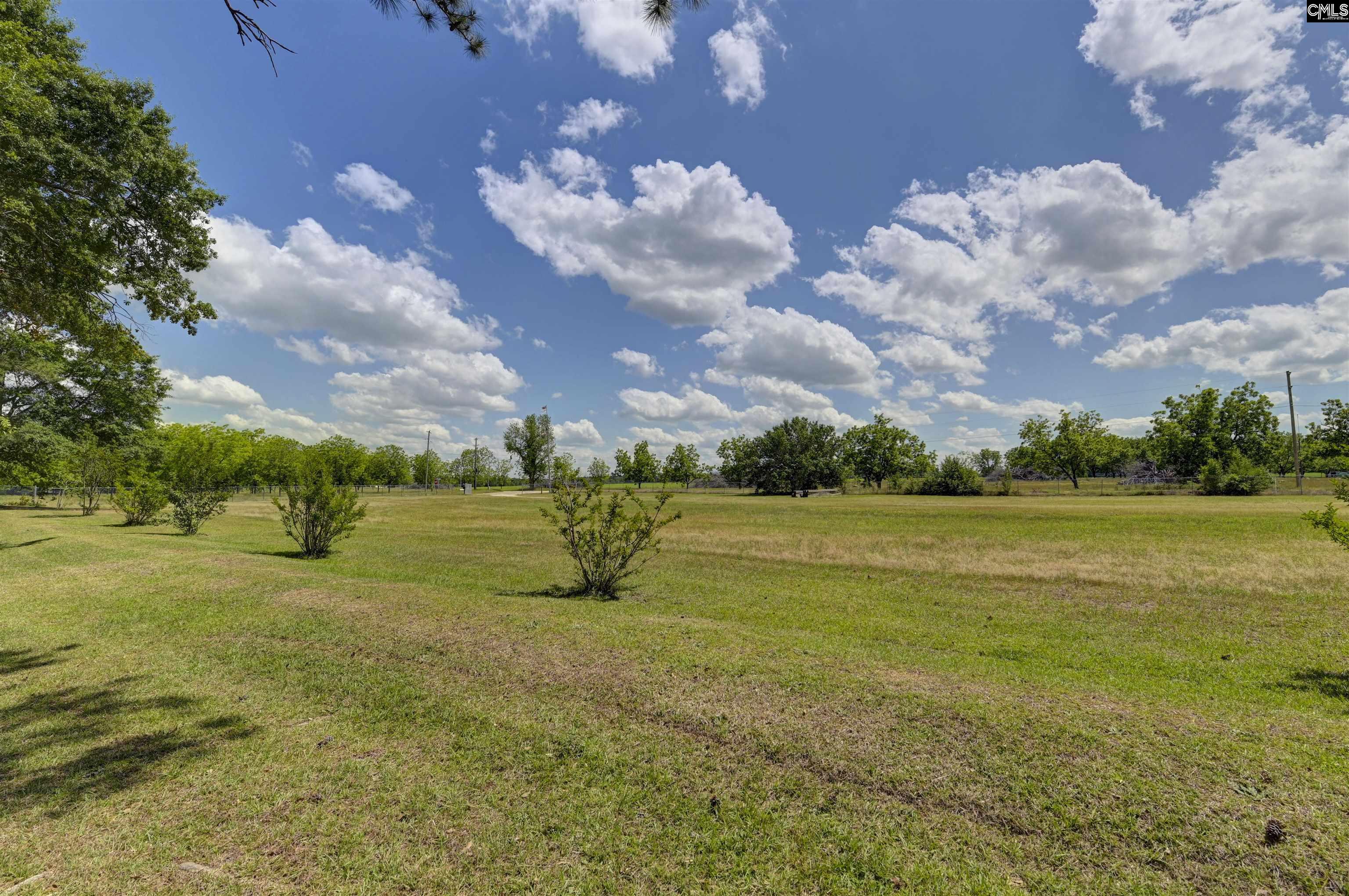 644 Nathan Miller Road, Gilbert, South Carolina image 9