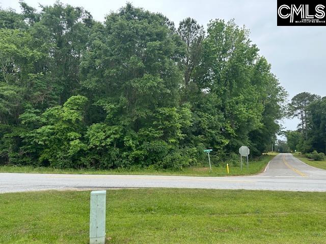 TBD Intersection Of Mud Creek Rd & Hwy176, Pomaria, South Carolina image 1