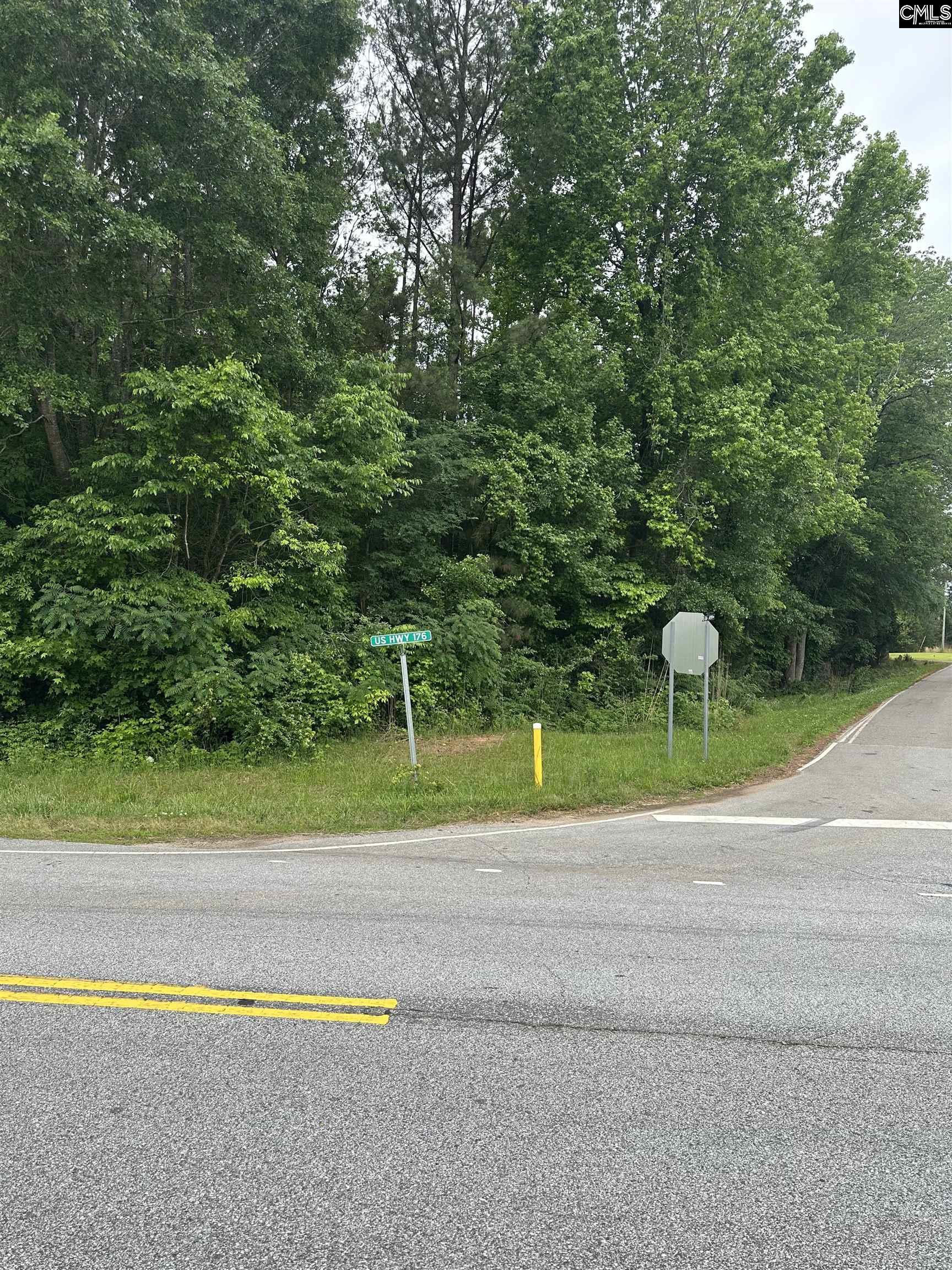 TBD Intersection Of Mud Creek Rd & Hwy176, Pomaria, South Carolina image 2