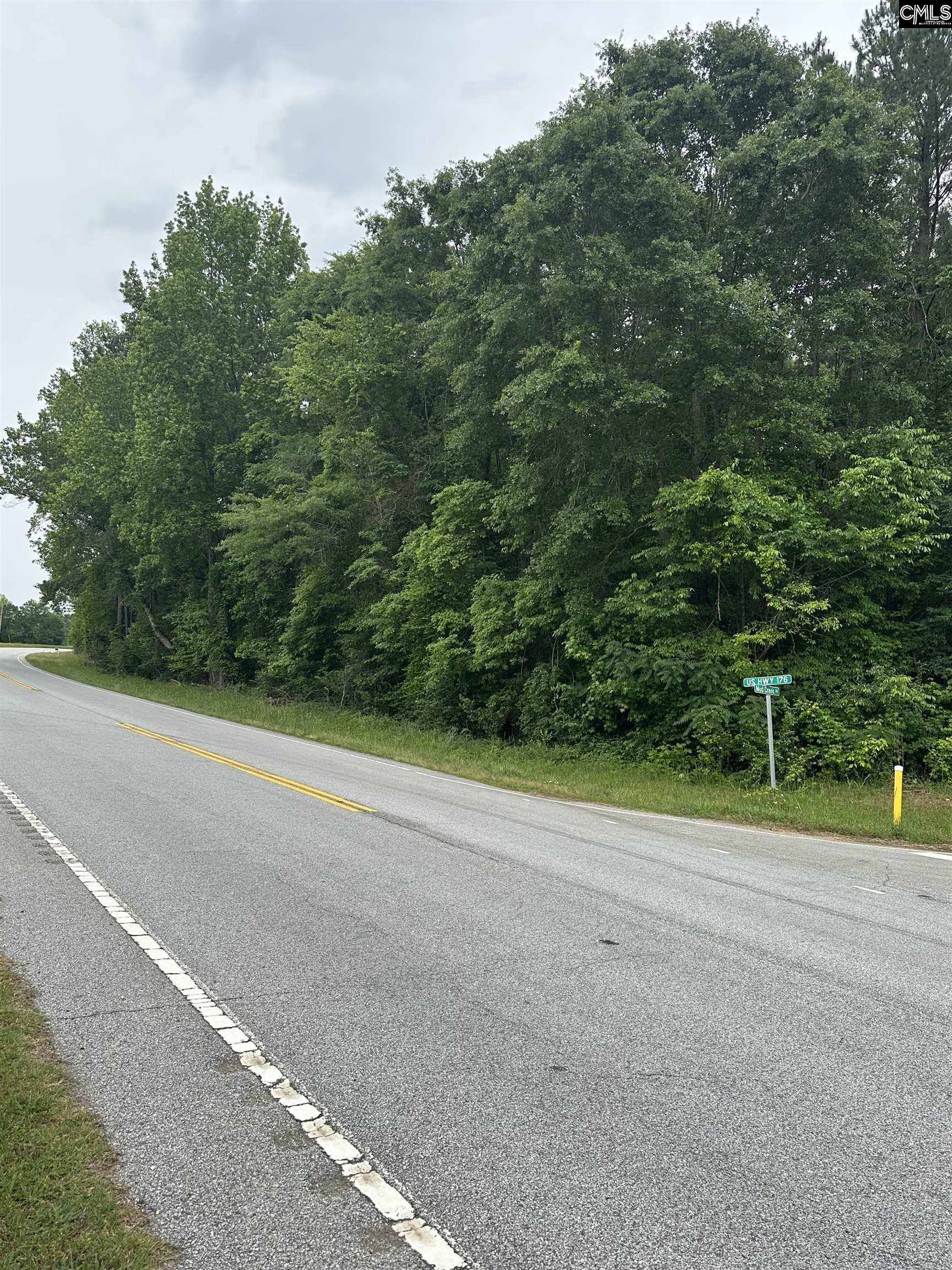 TBD Intersection Of Mud Creek Rd & Hwy176, Pomaria, South Carolina image 3