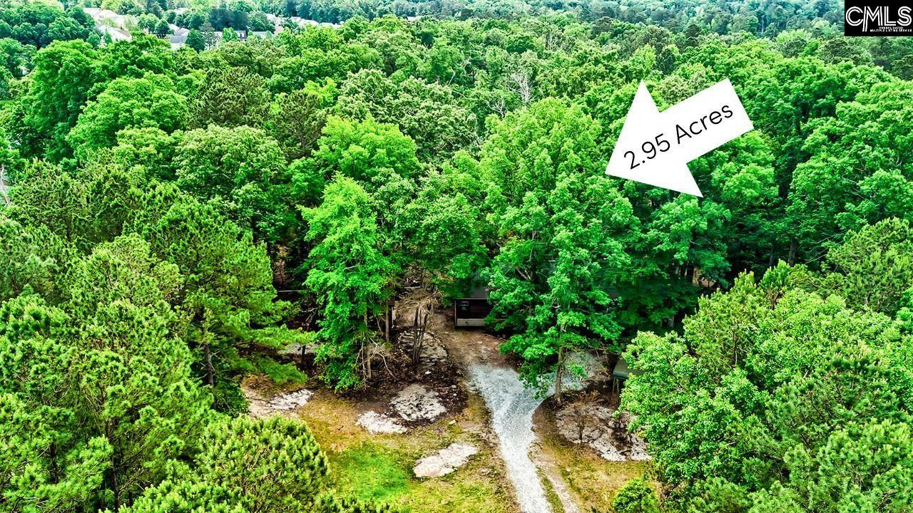 1021 Old Bush River Road, Chapin, South Carolina image 1