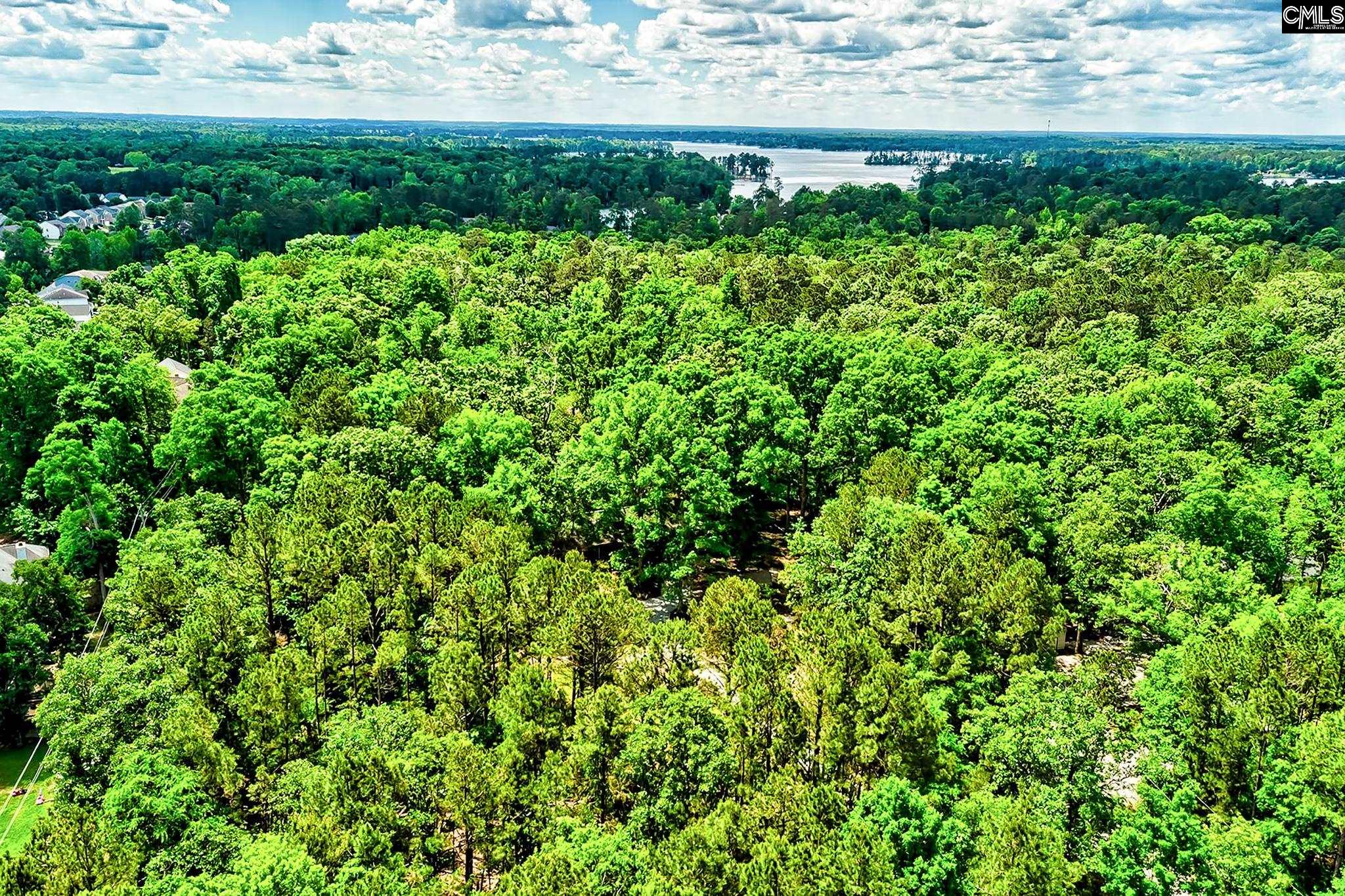 1021 Old Bush River Road, Chapin, South Carolina image 2