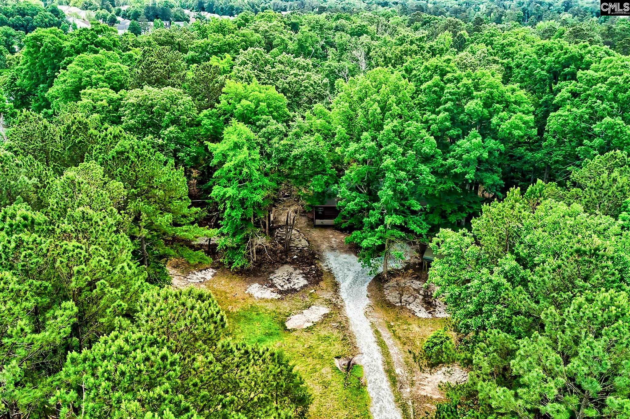 1021 Old Bush River Road, Chapin, South Carolina image 10
