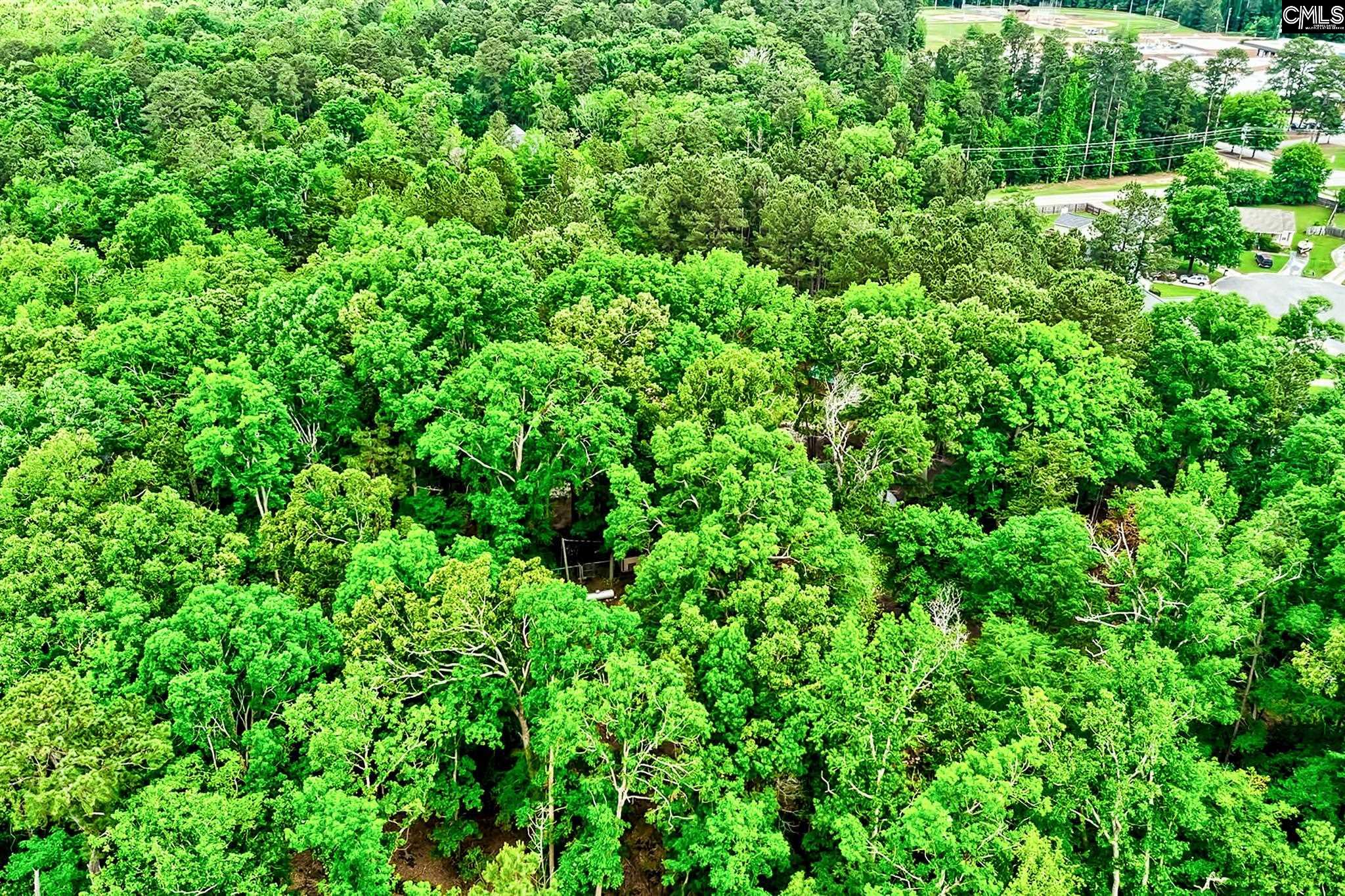 1021 Old Bush River Road, Chapin, South Carolina image 11