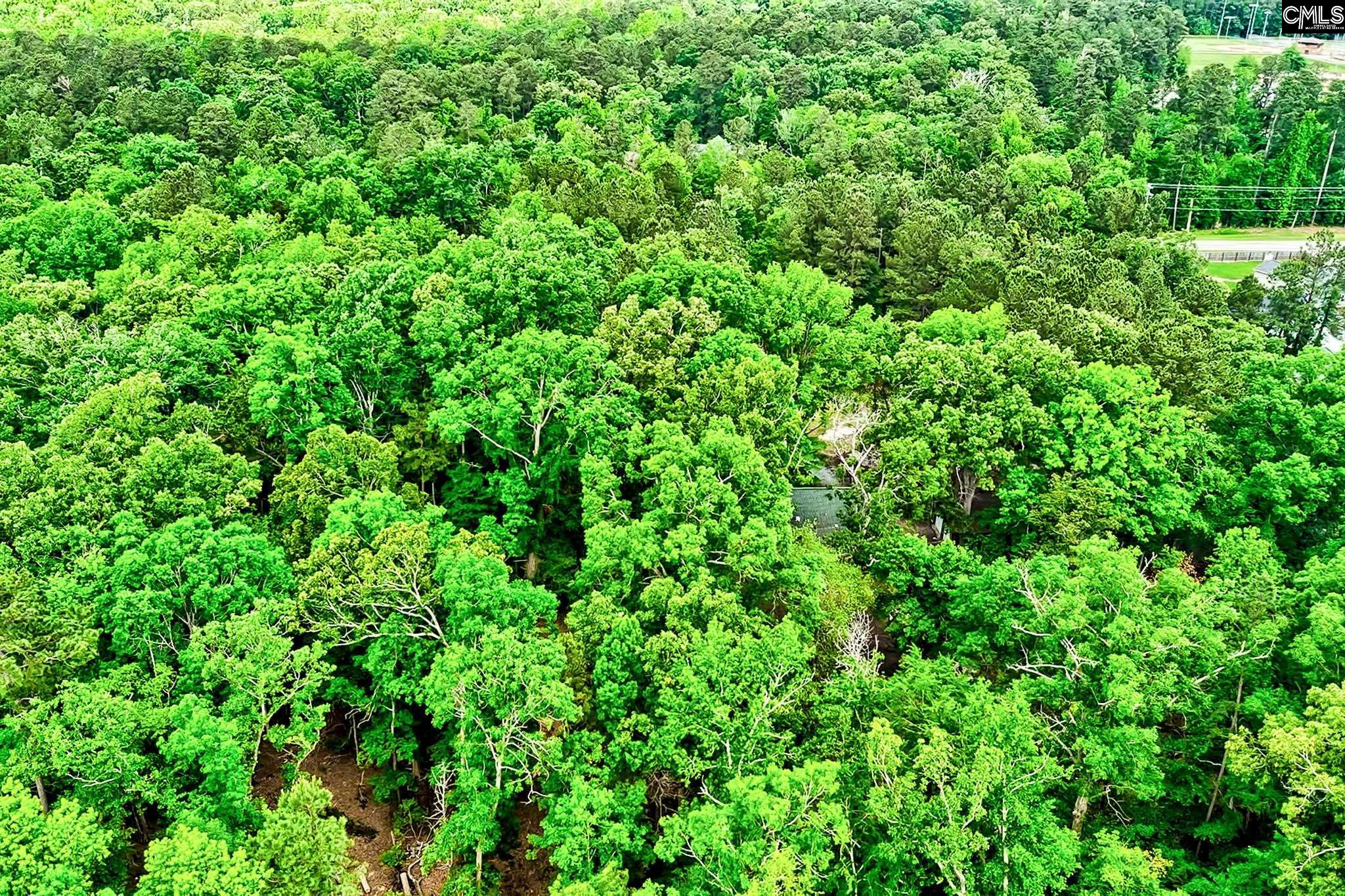 1021 Old Bush River Road, Chapin, South Carolina image 12