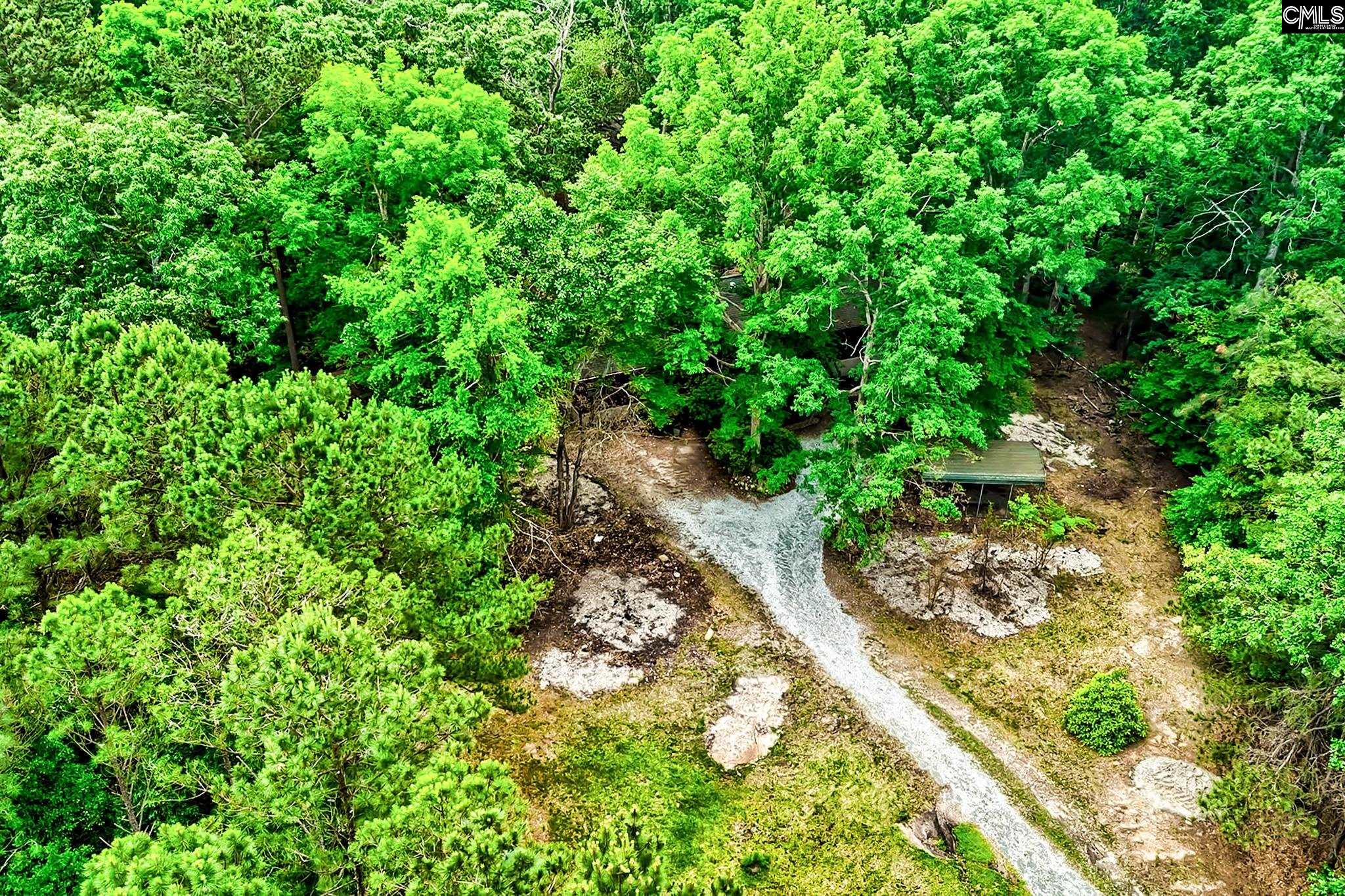 1021 Old Bush River Road, Chapin, South Carolina image 13