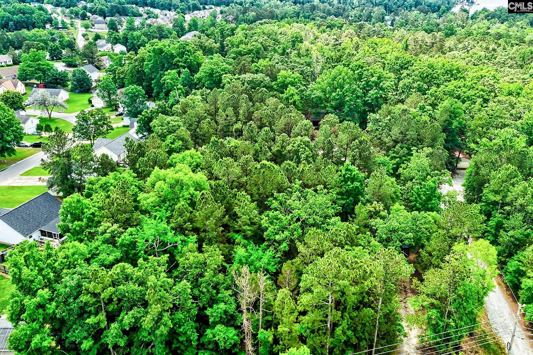 1021 Old Bush River Road, Chapin, South Carolina image 14