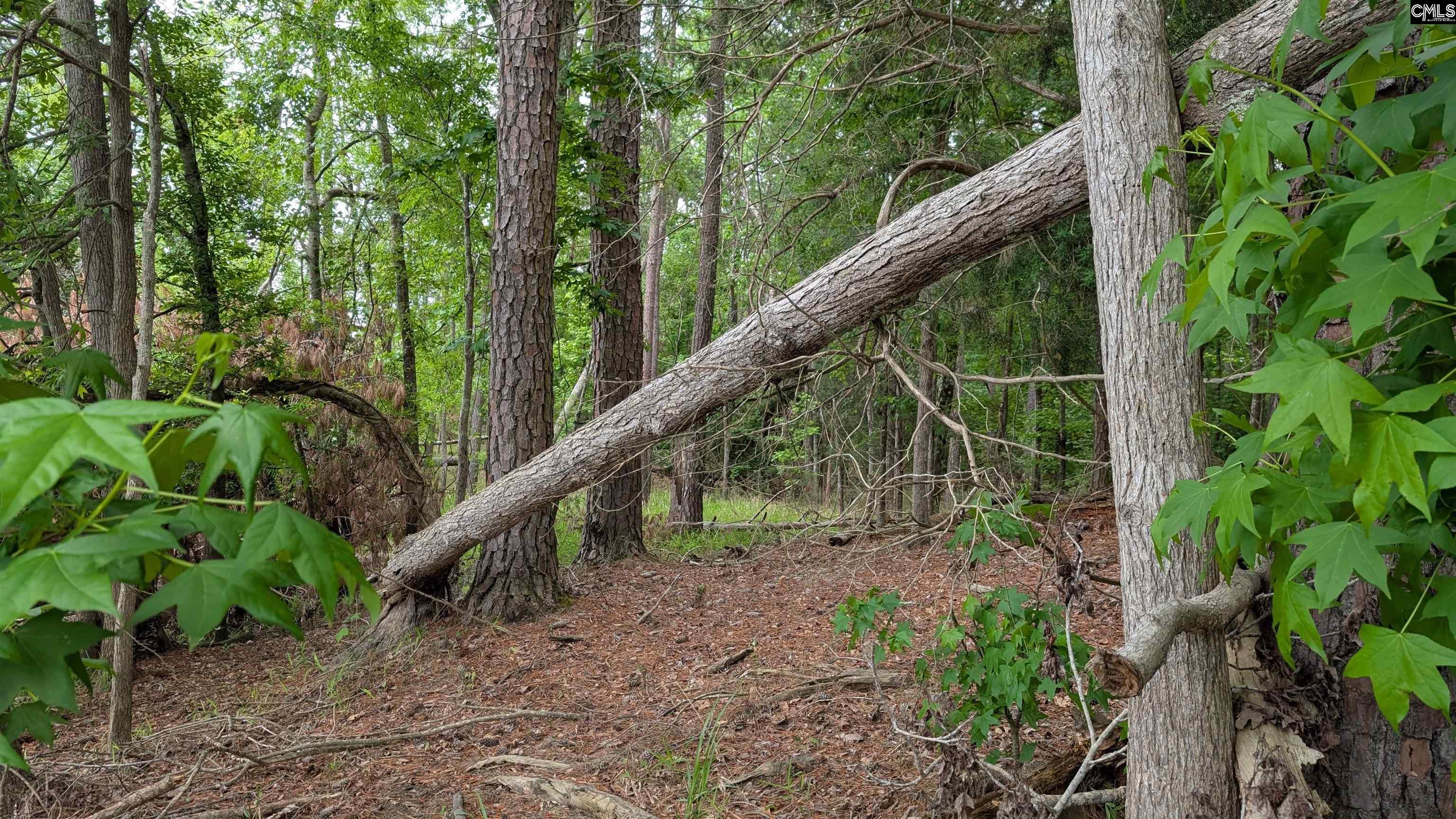 Lot 83 Retreat Way, Ridgeway, South Carolina image 4