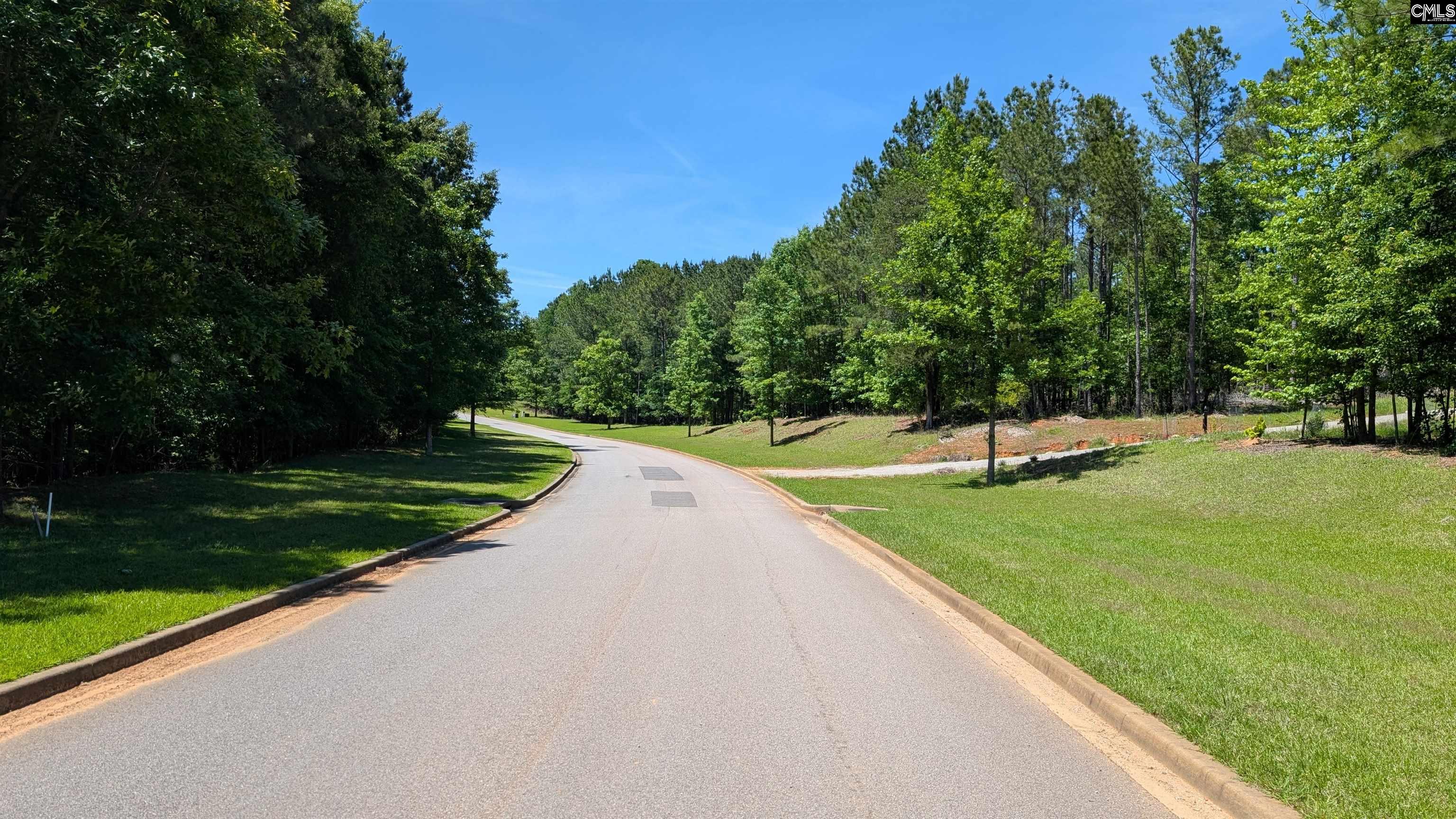 Lot 83 Retreat Way, Ridgeway, South Carolina image 6
