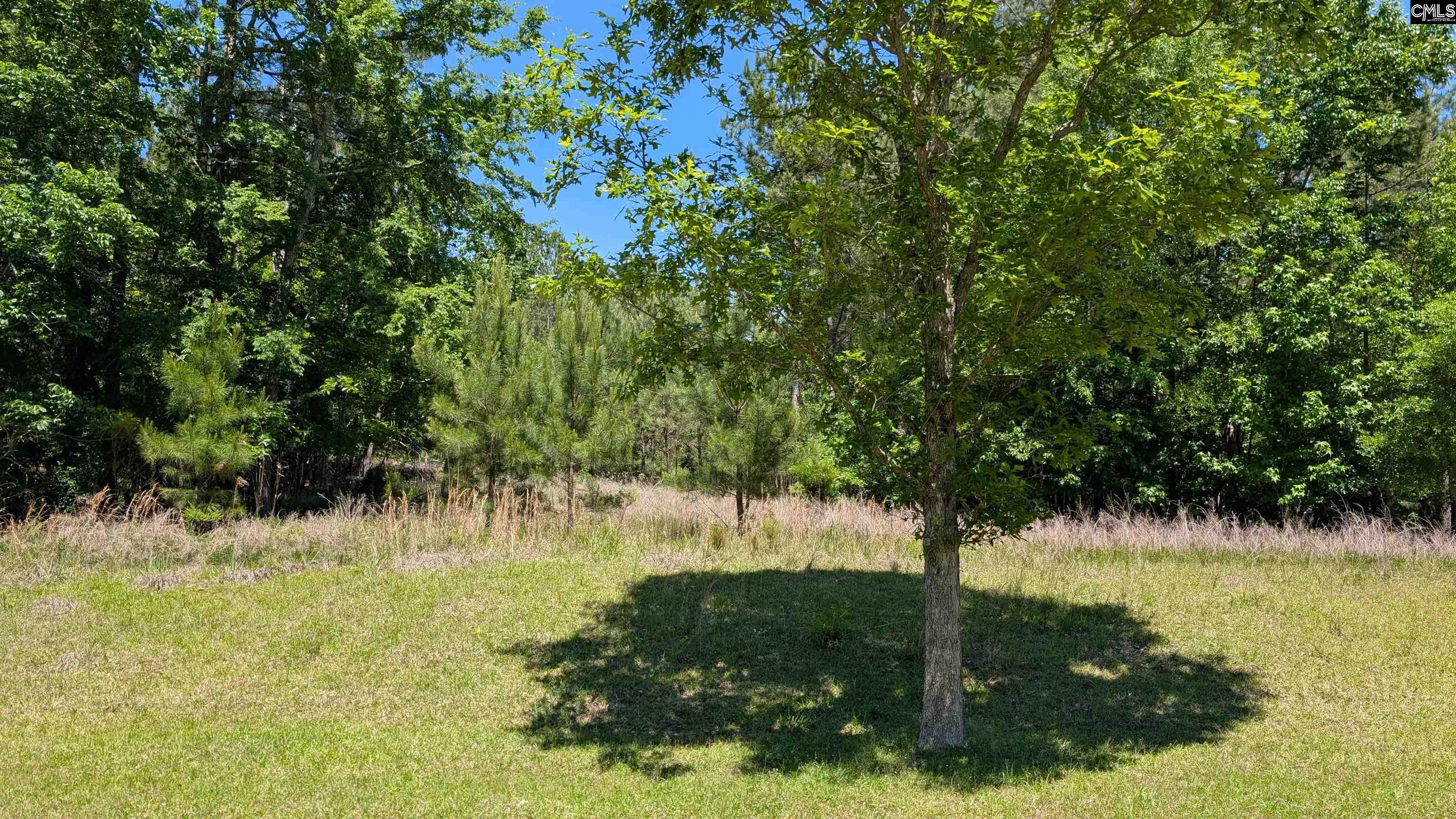Lot 83 Retreat Way, Ridgeway, South Carolina image 7