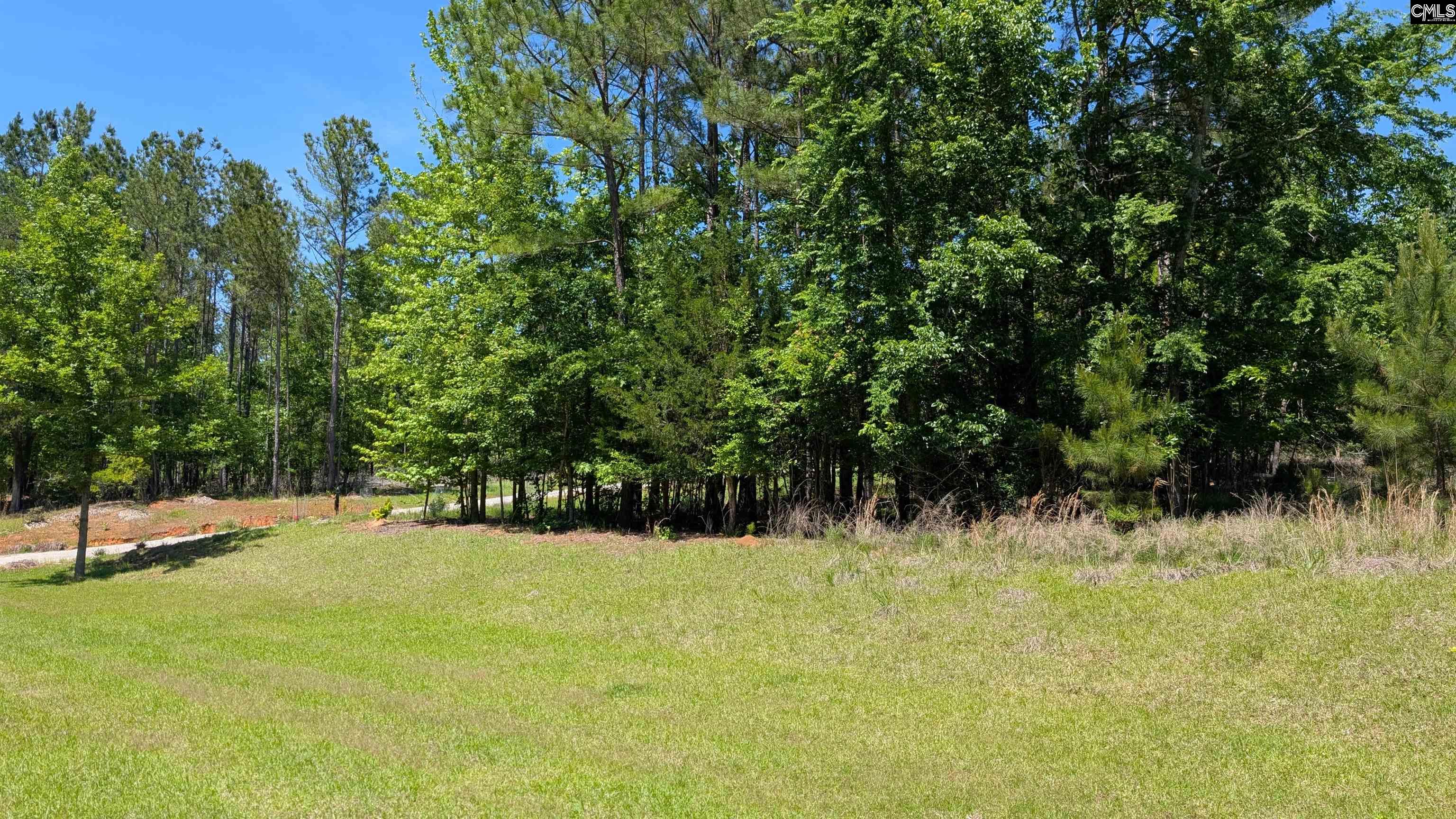 Lot 83 Retreat Way, Ridgeway, South Carolina image 8