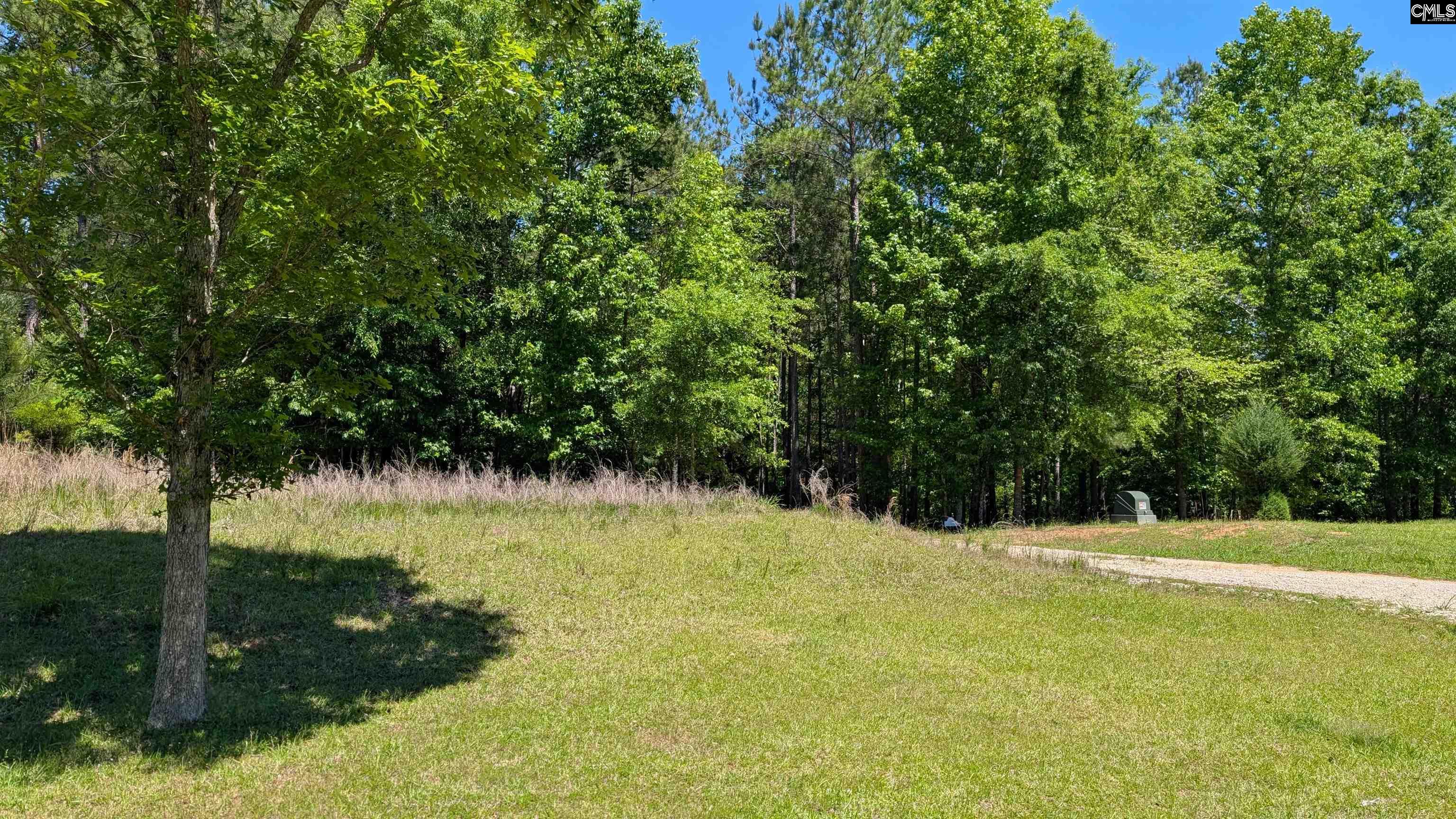Lot 83 Retreat Way, Ridgeway, South Carolina image 9