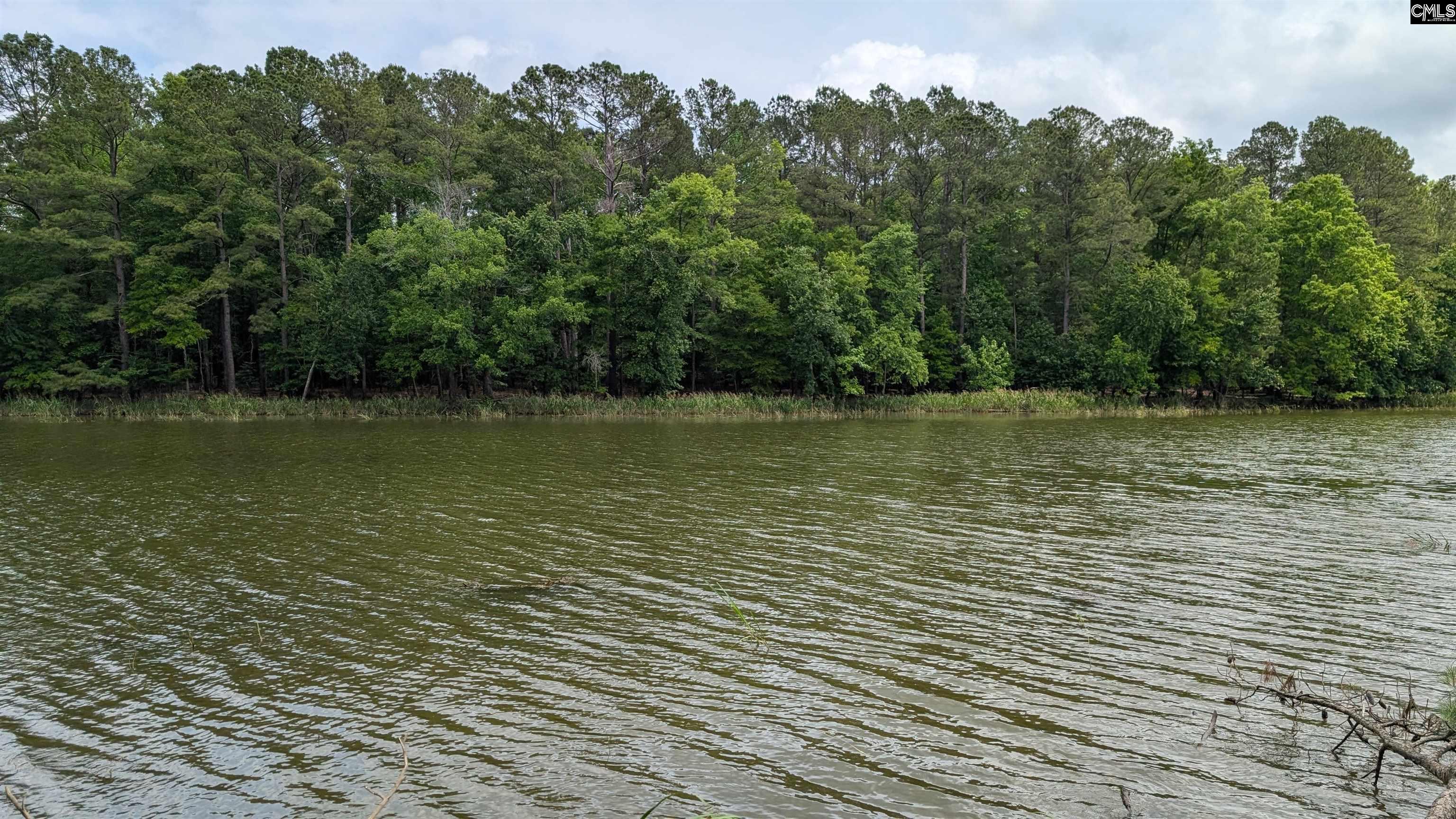 Lot 83 Retreat Way, Ridgeway, South Carolina image 2