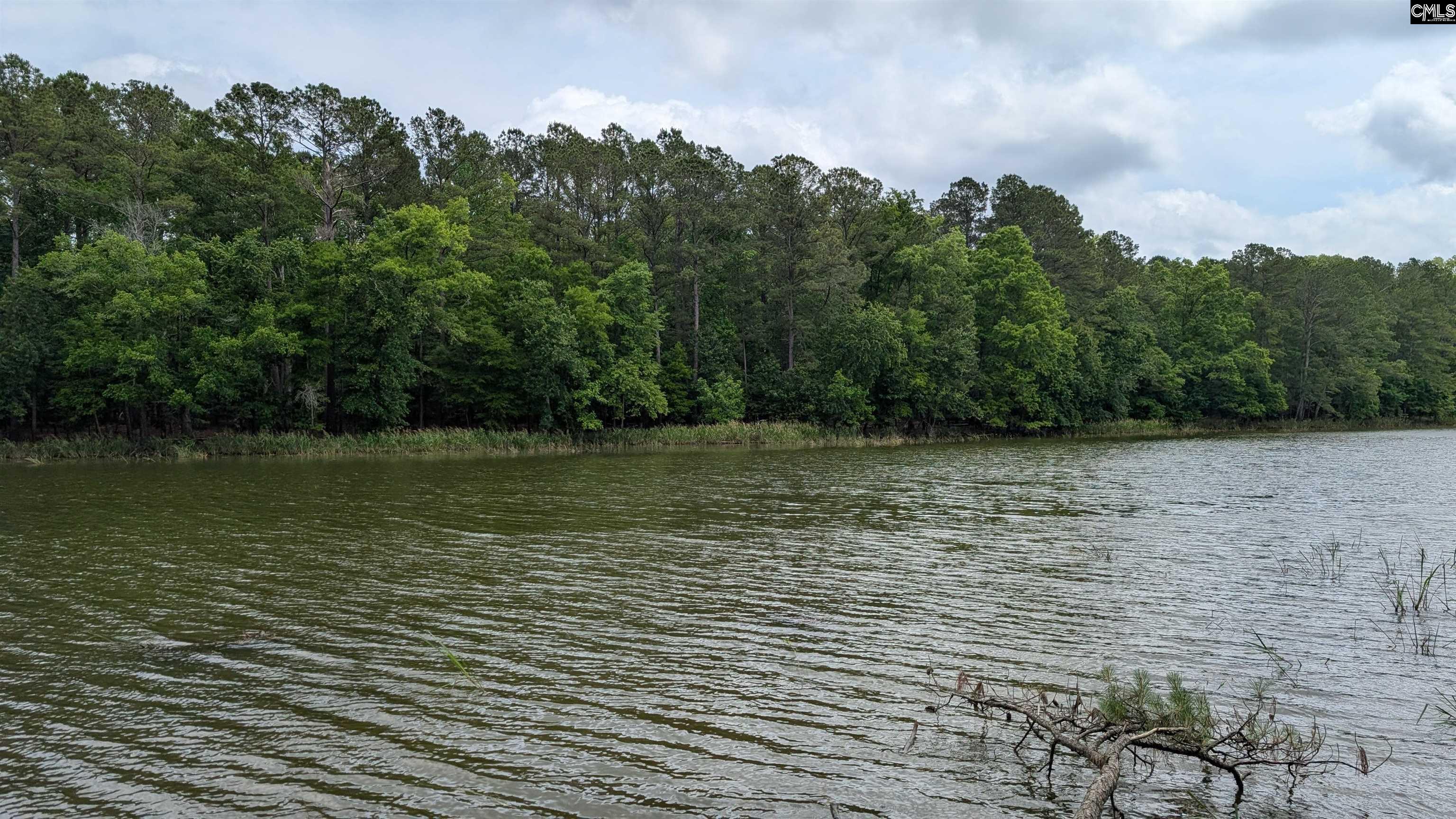Lot 83 Retreat Way, Ridgeway, South Carolina image 3