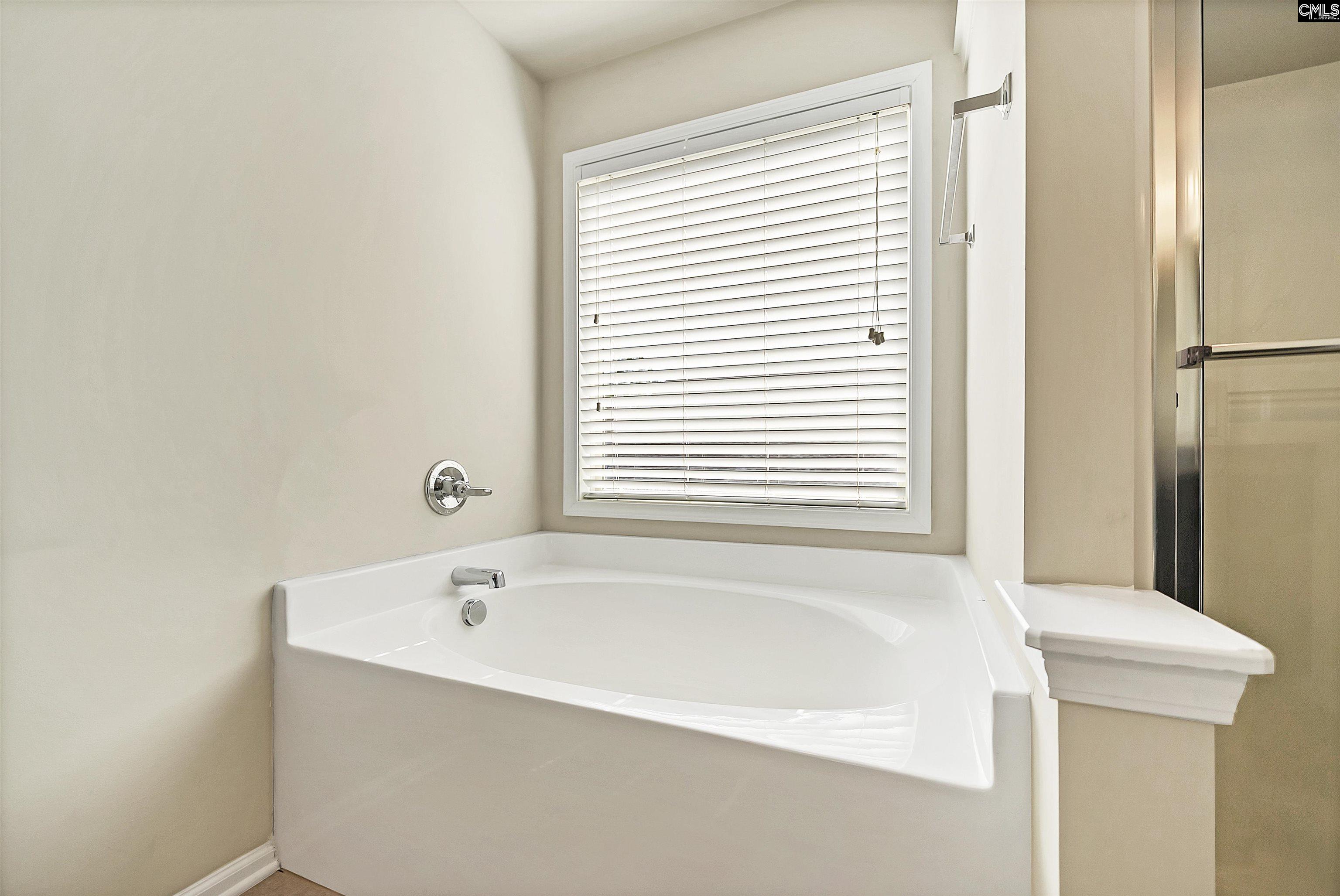 121 Fresh Spring Way, Lexington, South Carolina image 43