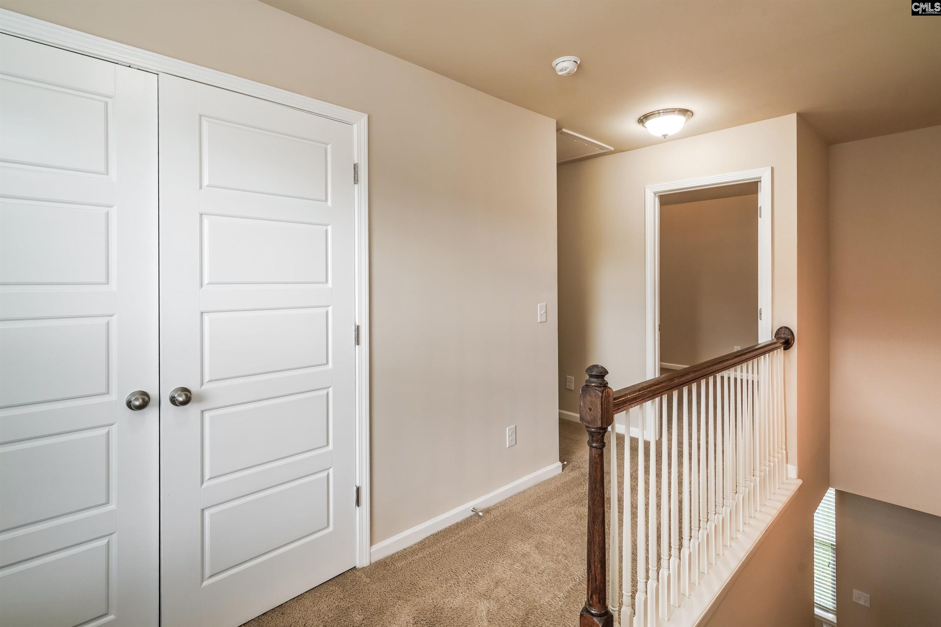 217 Bickley View Court, Chapin, South Carolina image 11