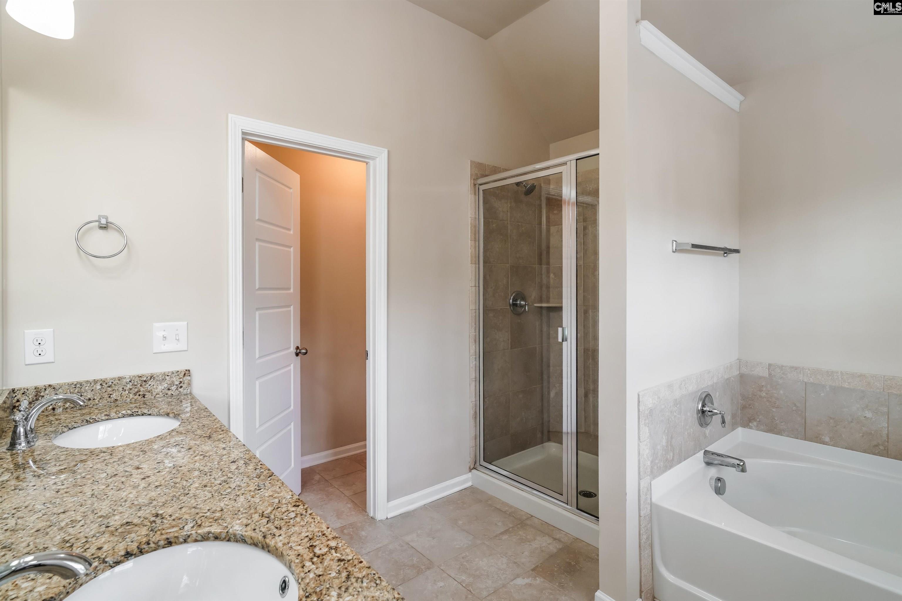 217 Bickley View Court, Chapin, South Carolina image 13