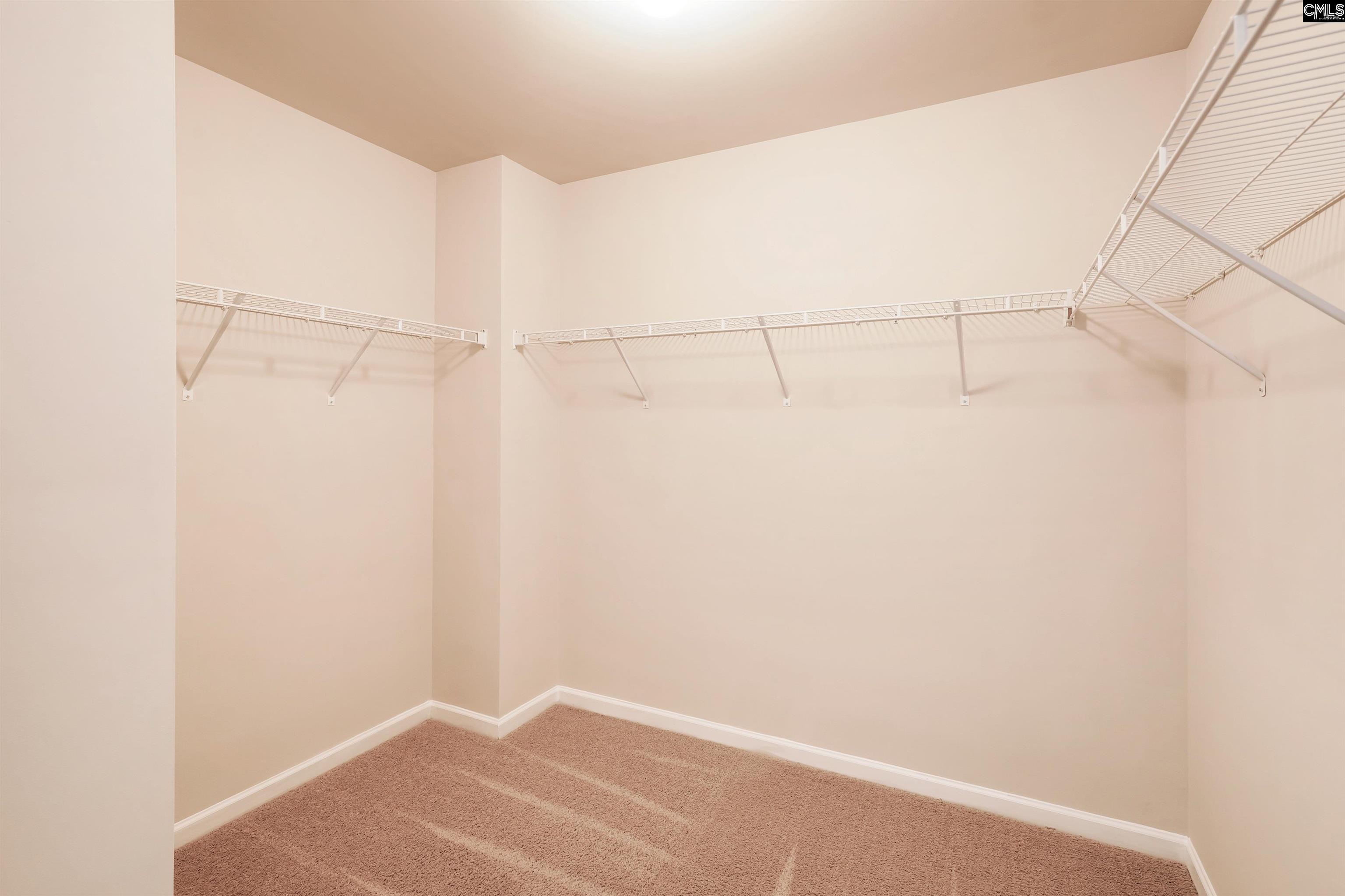 217 Bickley View Court, Chapin, South Carolina image 14