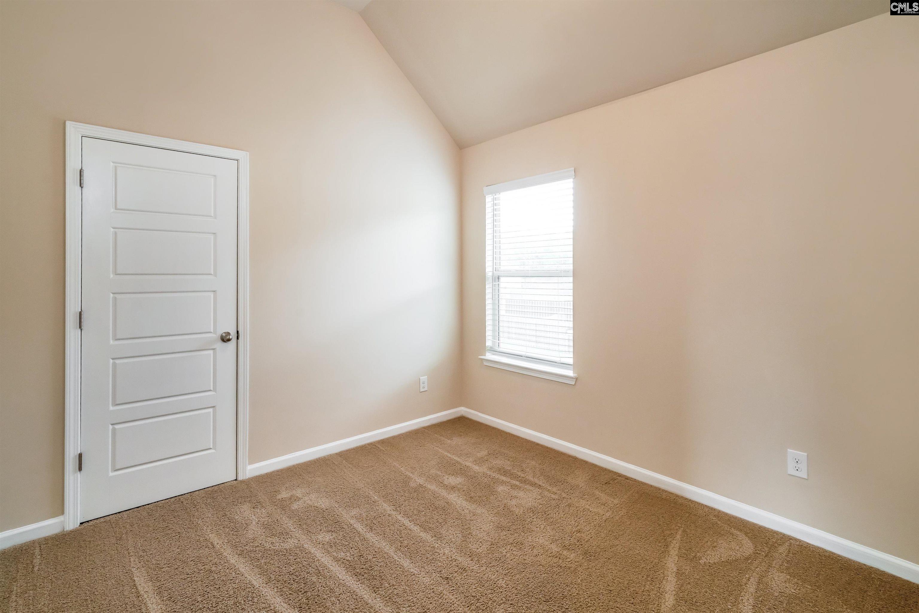 217 Bickley View Court, Chapin, South Carolina image 15