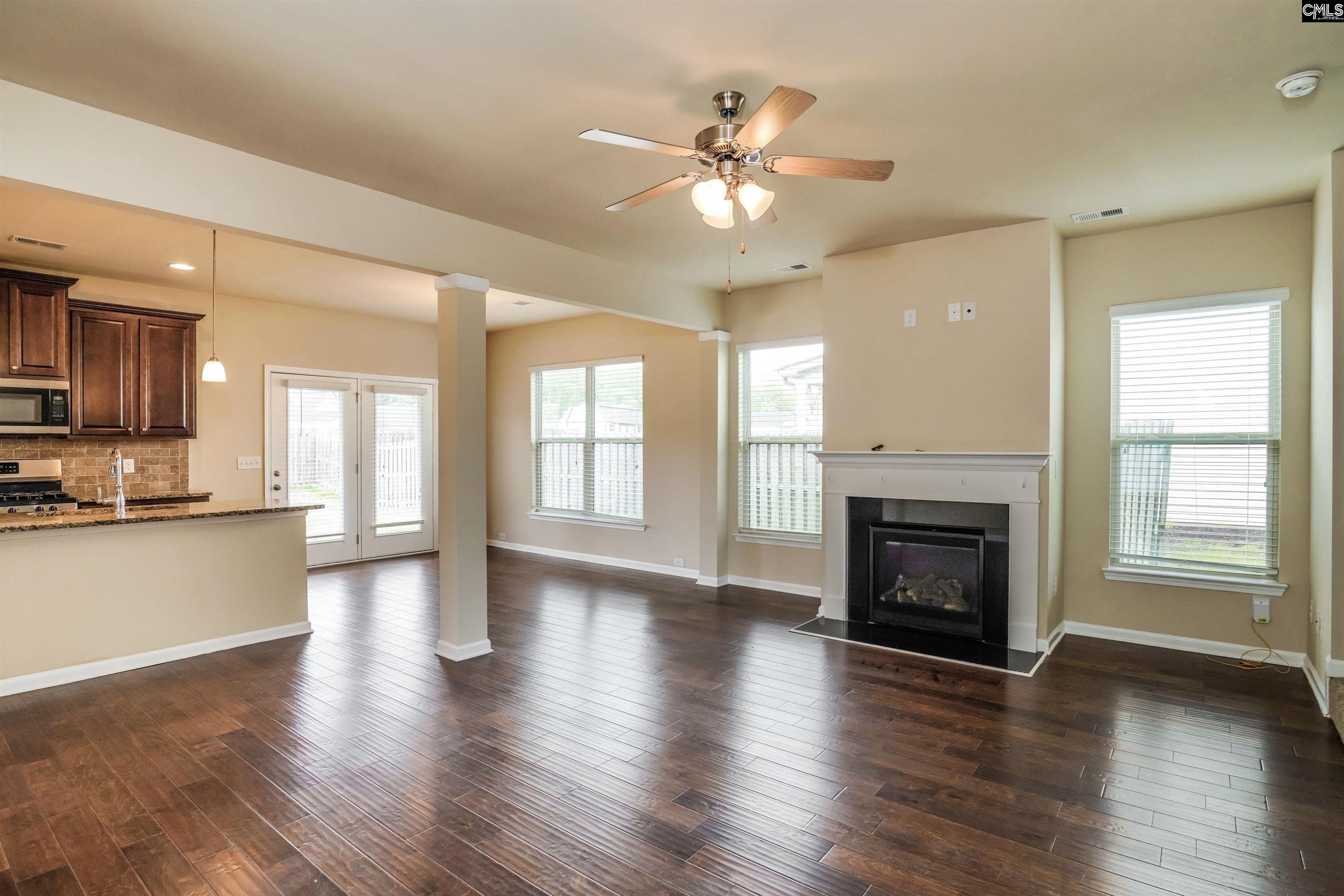 217 Bickley View Court, Chapin, South Carolina image 4