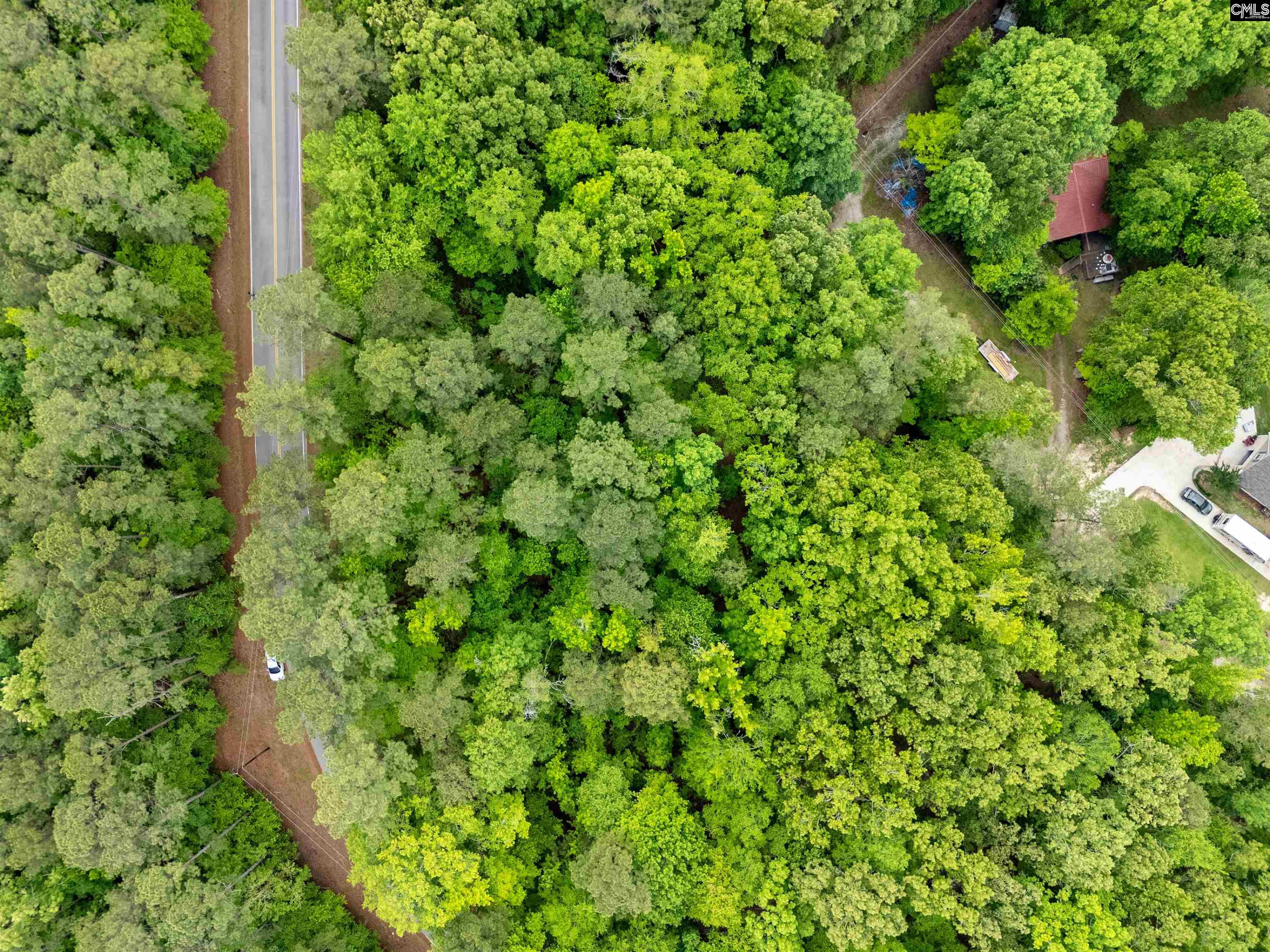 1427-2 Buck Hill Landing Road #LOT 2, Ridgeway, South Carolina image 5