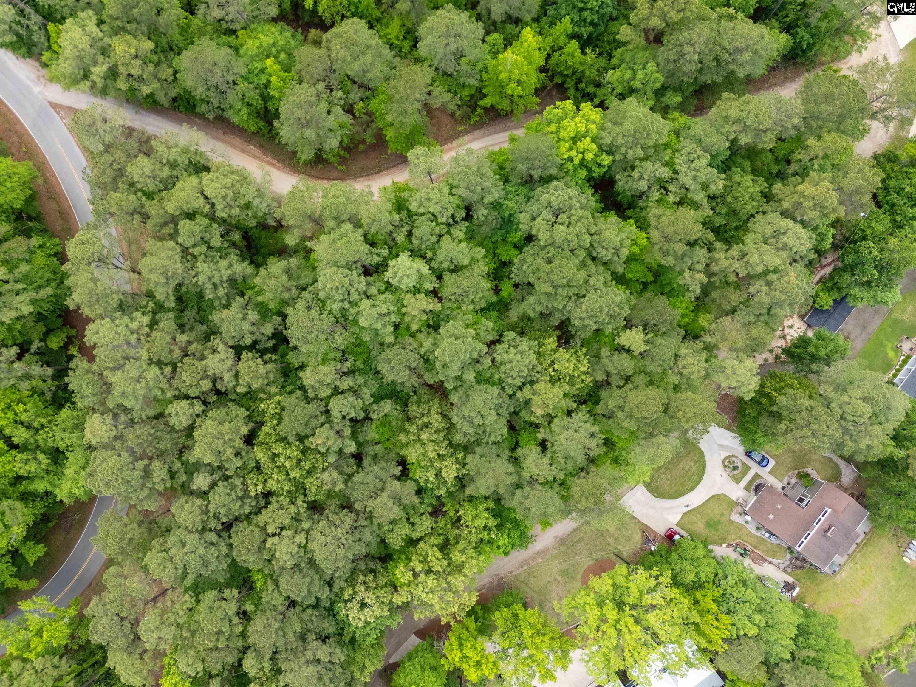 1427-1 Buck Hill Landing Road #LOT 1, Ridgeway, South Carolina image 19