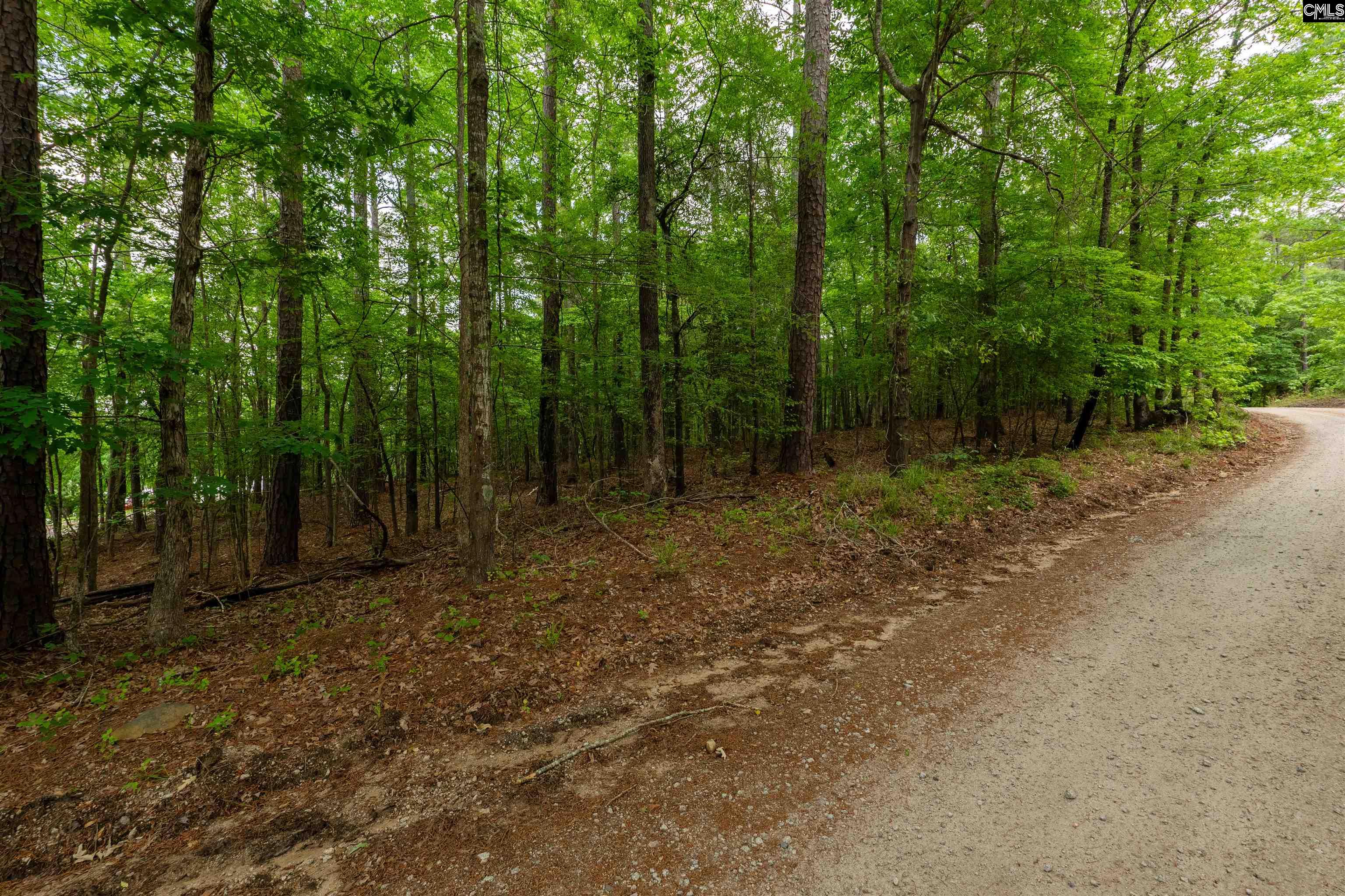1427-1 Buck Hill Landing Road #LOT 1, Ridgeway, South Carolina image 4