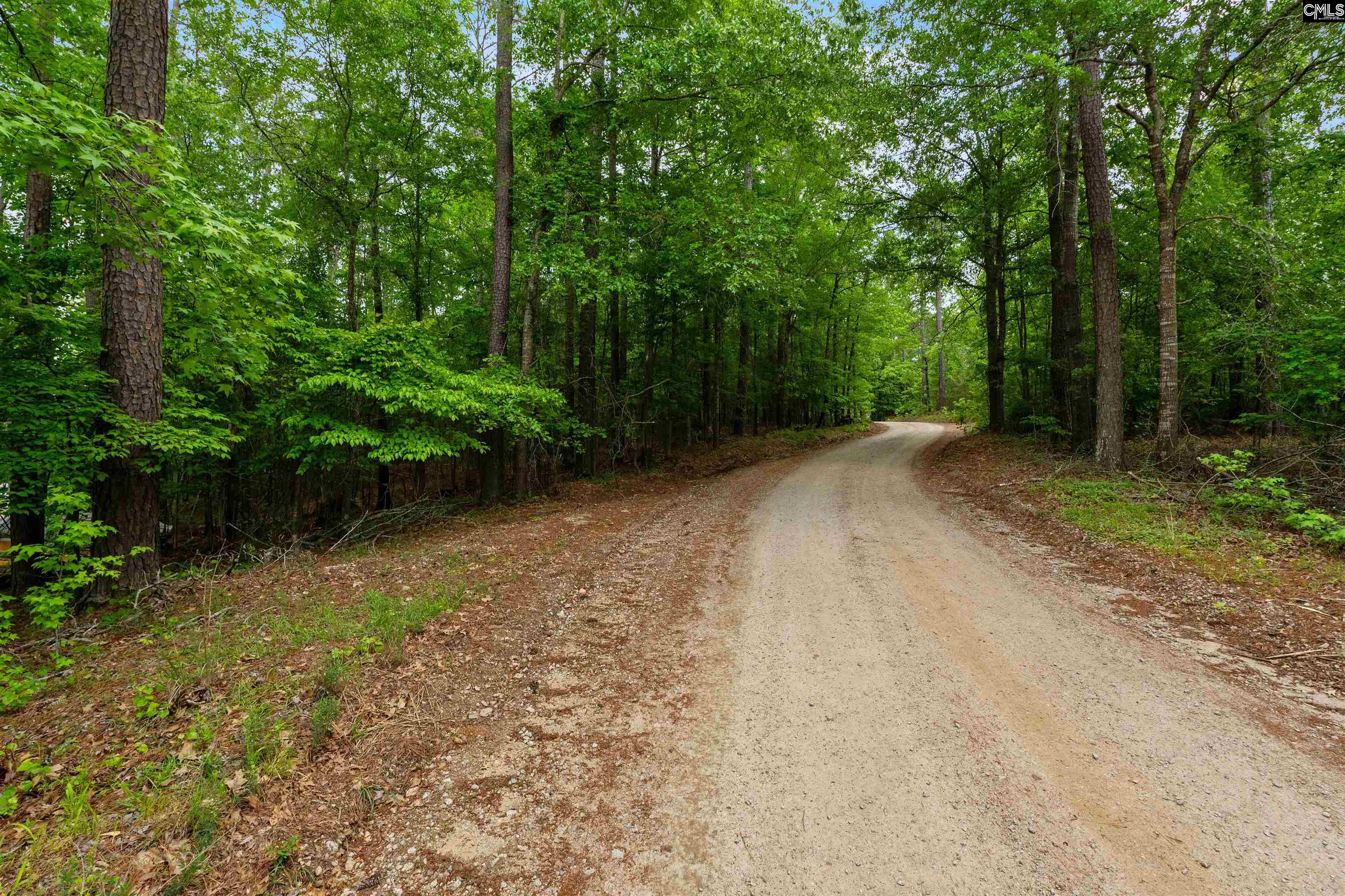 1427-1 Buck Hill Landing Road #LOT 1, Ridgeway, South Carolina image 6