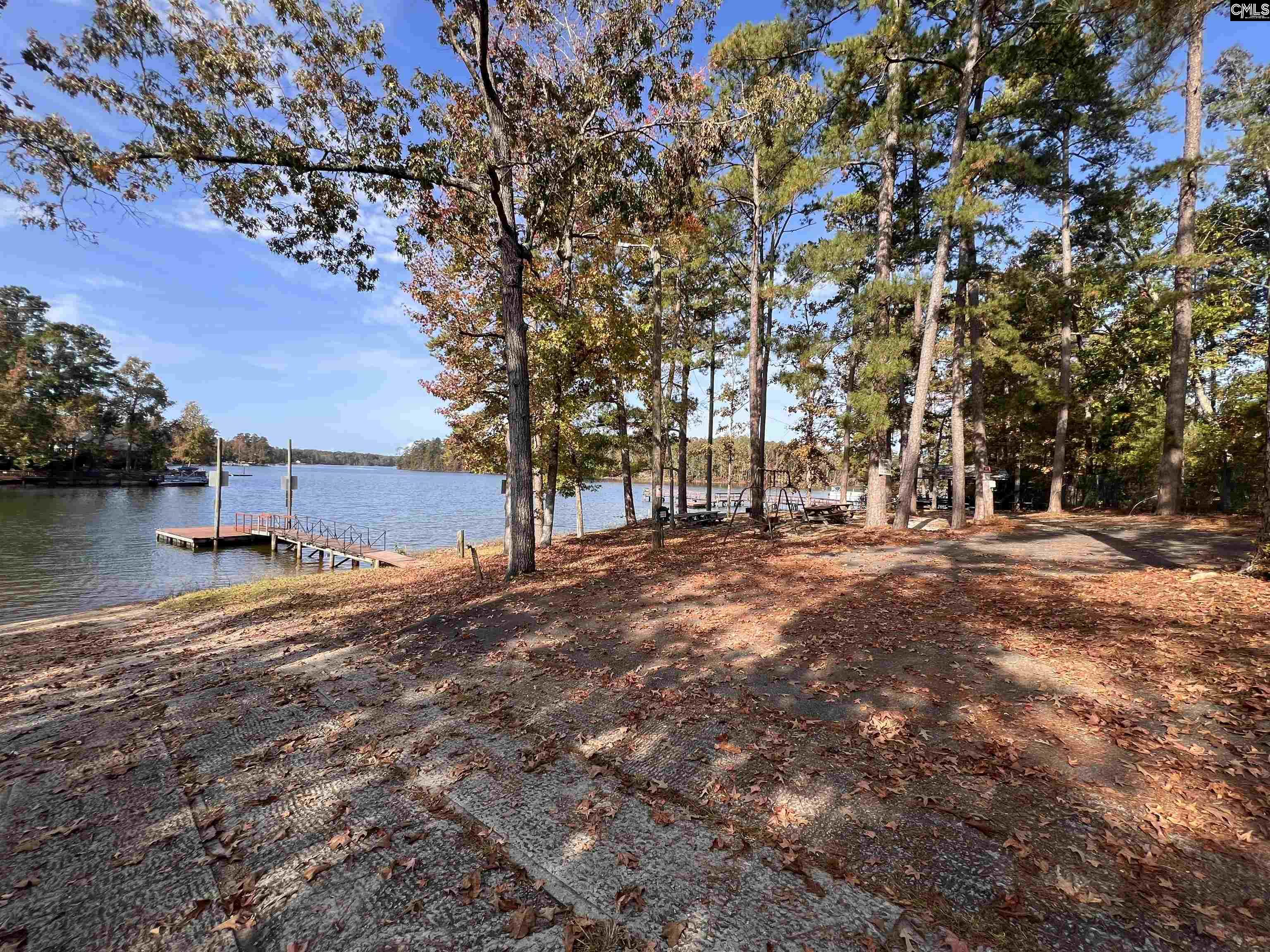 209 Lynch Lane, Chapin, South Carolina image 2