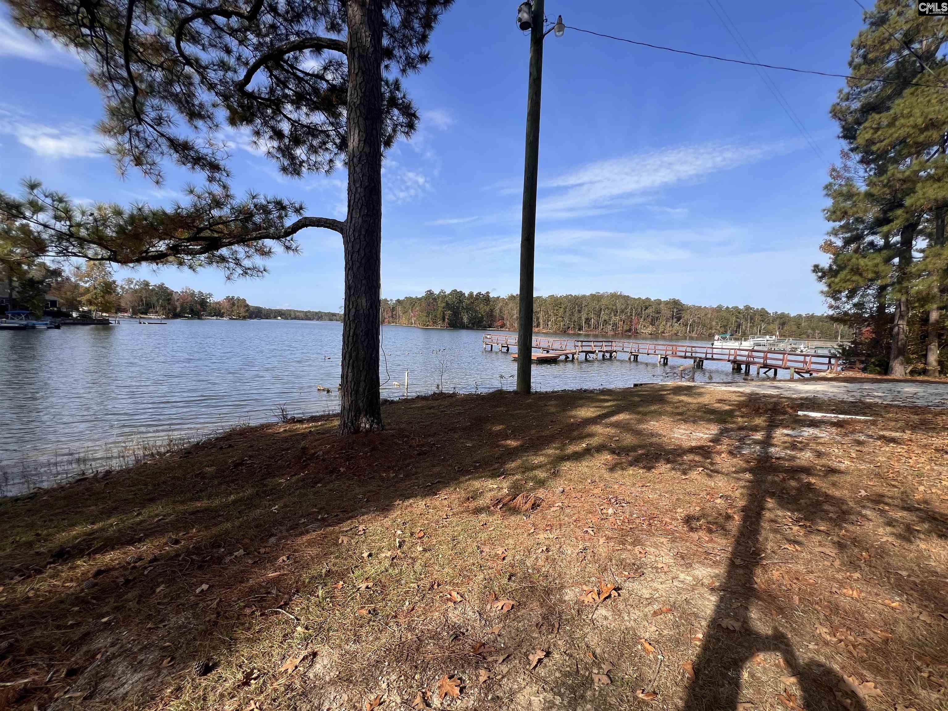 209 Lynch Lane, Chapin, South Carolina image 23