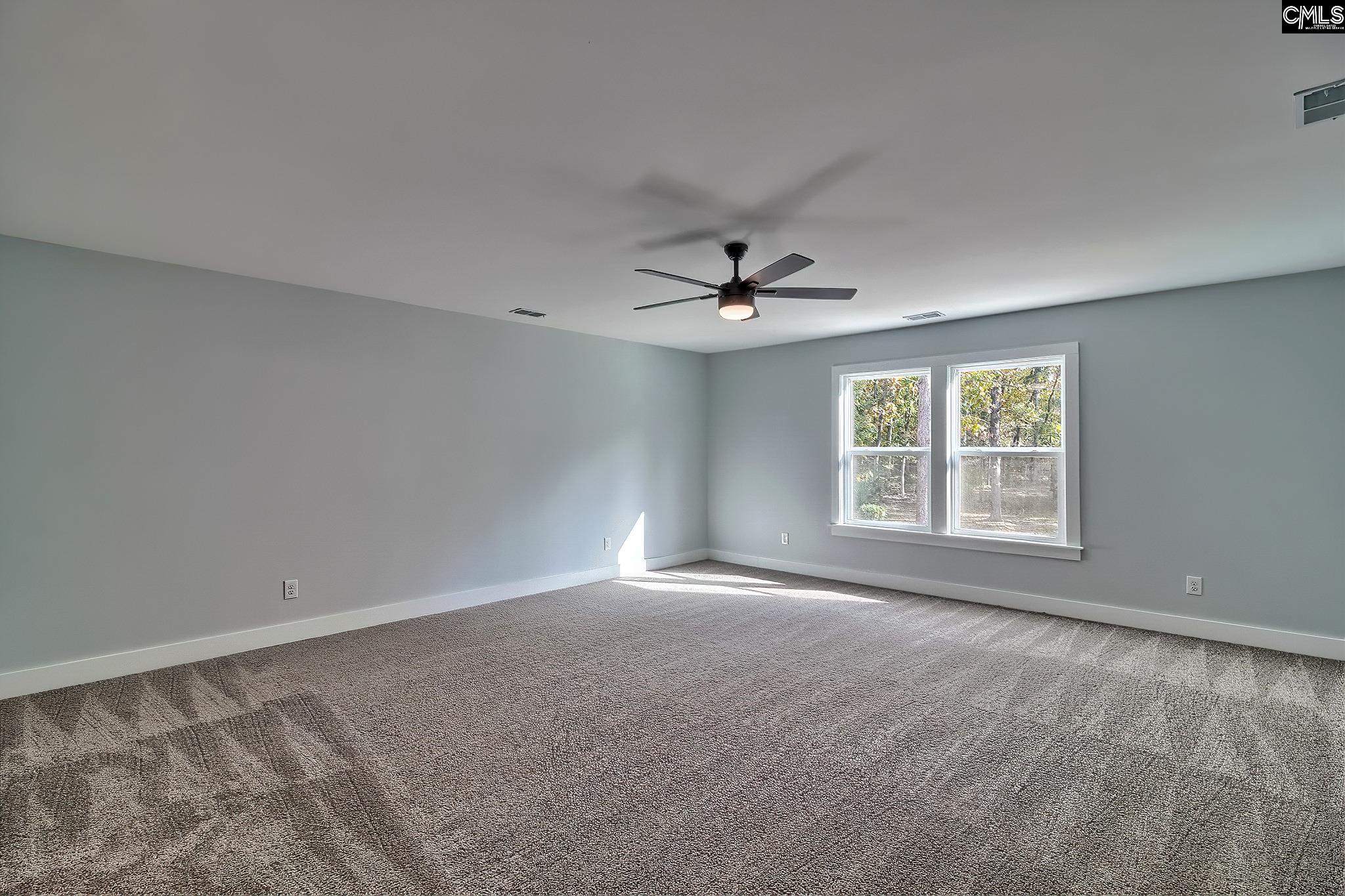 209 Lynch Lane, Chapin, South Carolina image 10