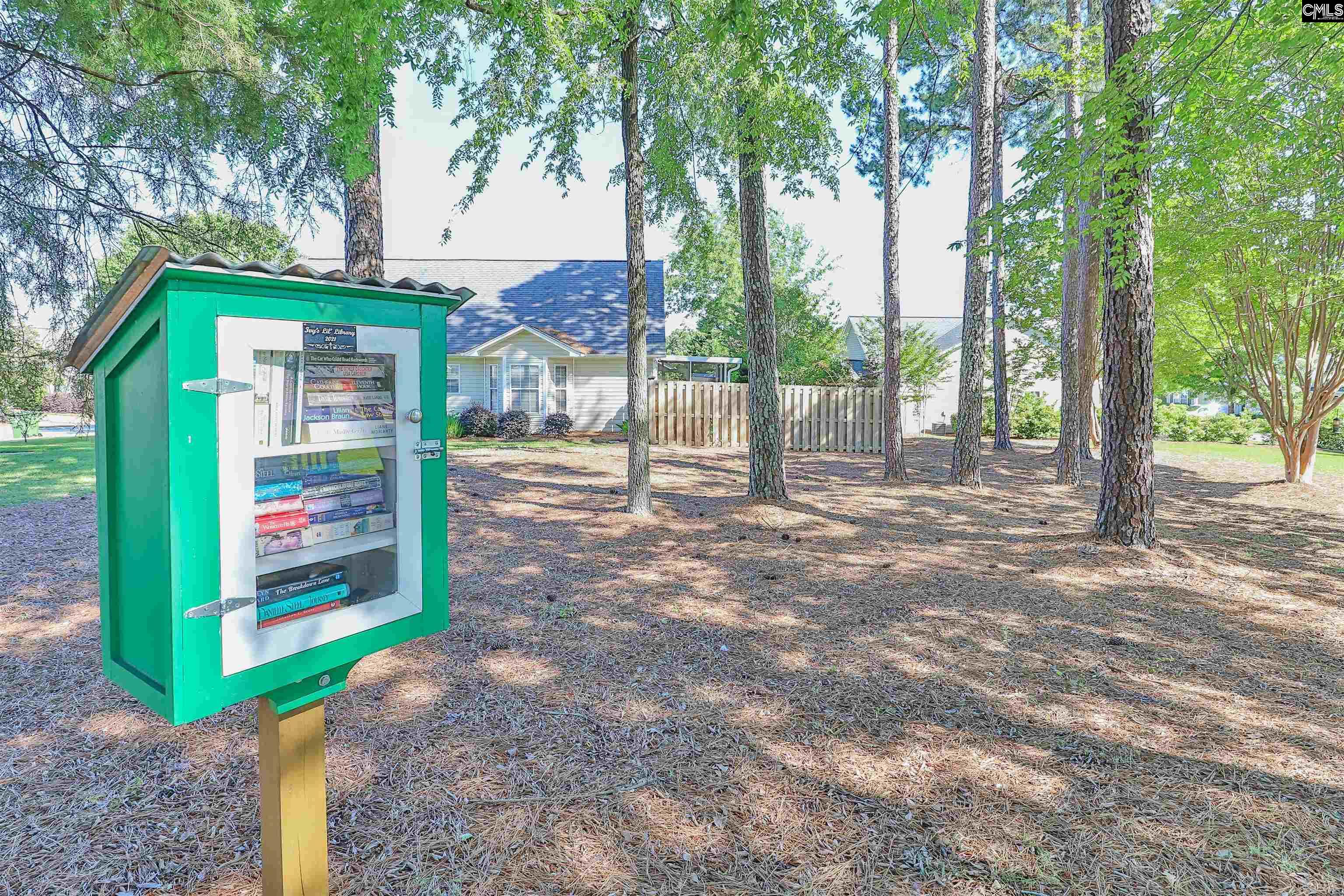 122 Ivy Garden Lane, Irmo, South Carolina image 45