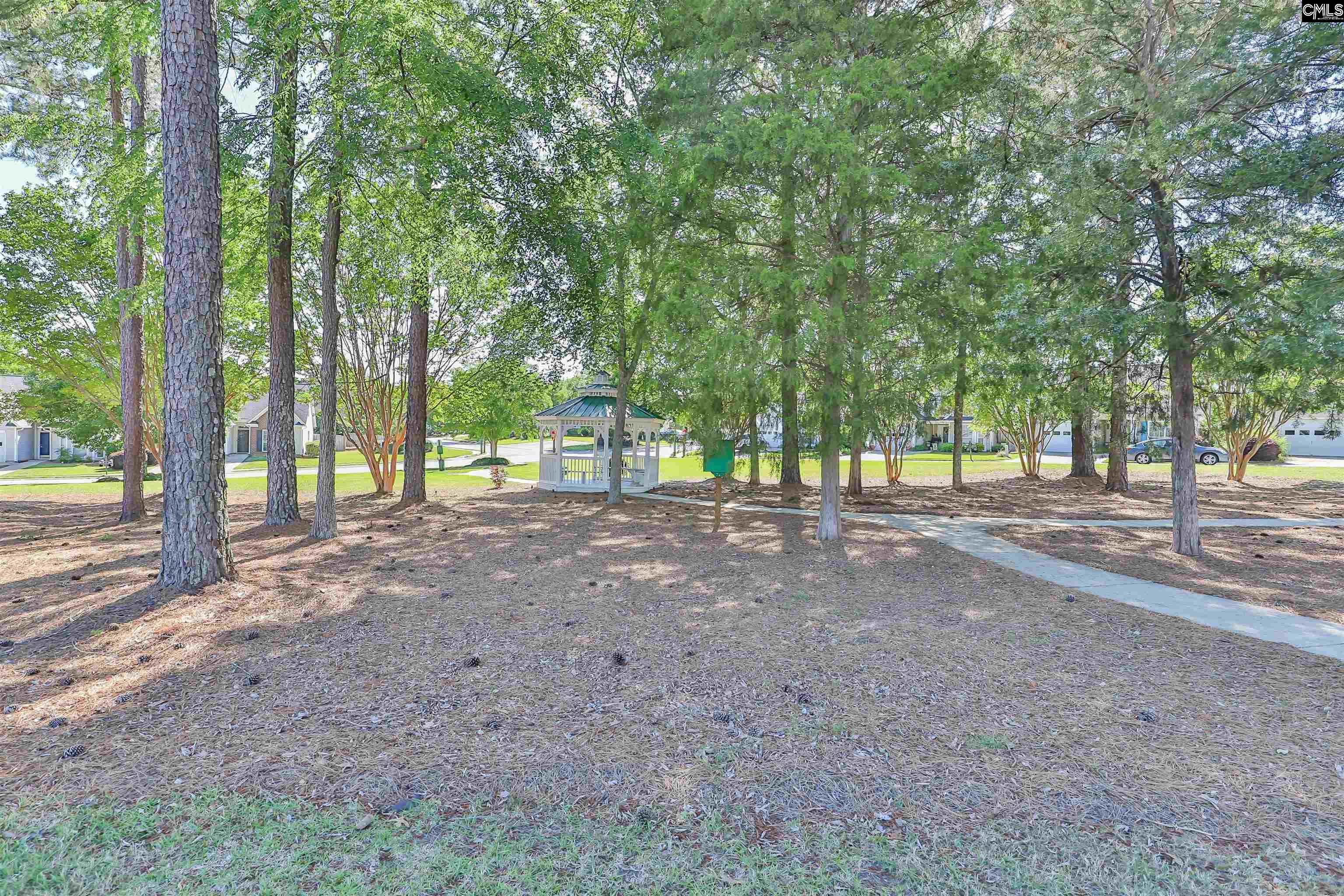 122 Ivy Garden Lane, Irmo, South Carolina image 46