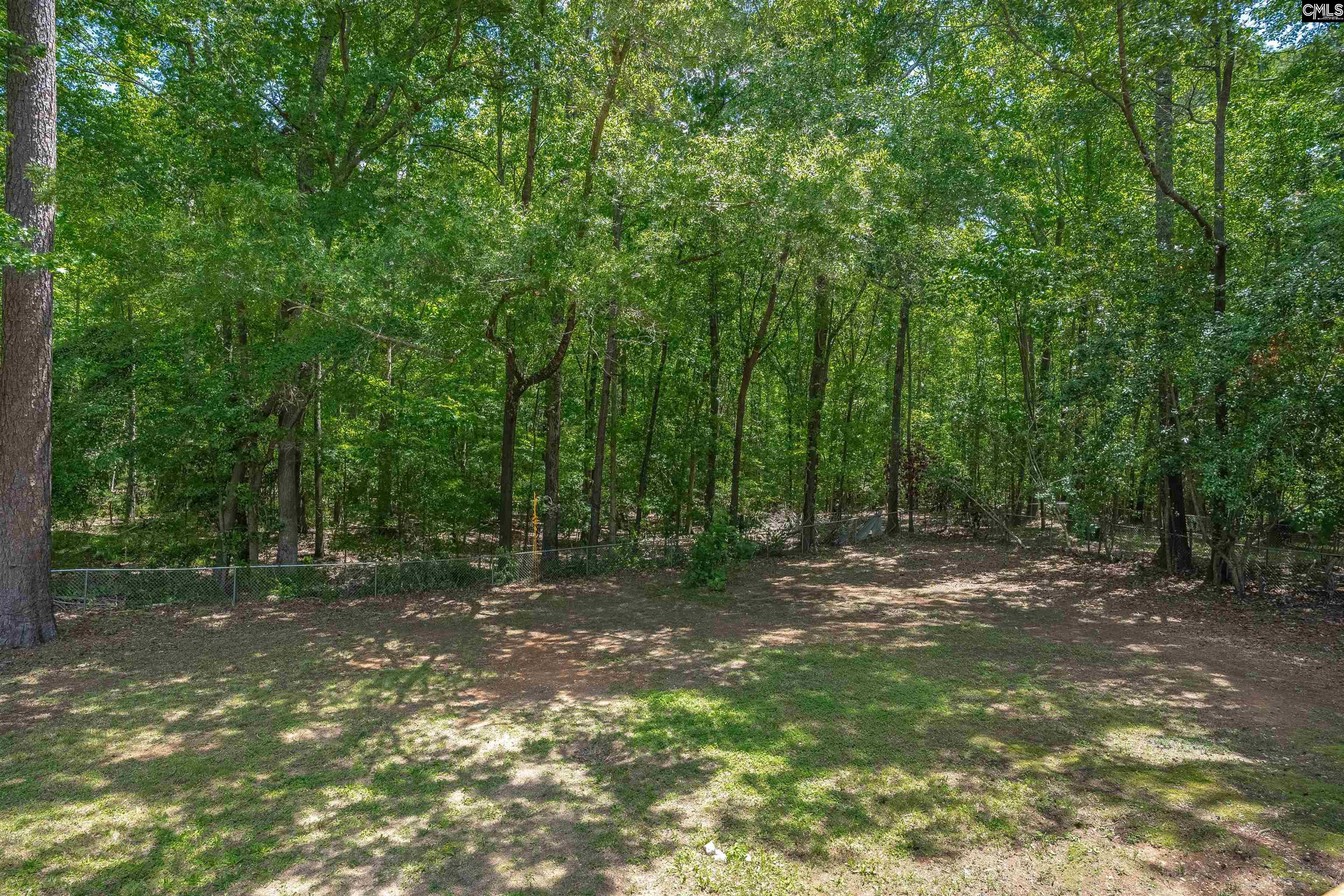 104 Horseshoe Trail, Lexington, South Carolina image 32