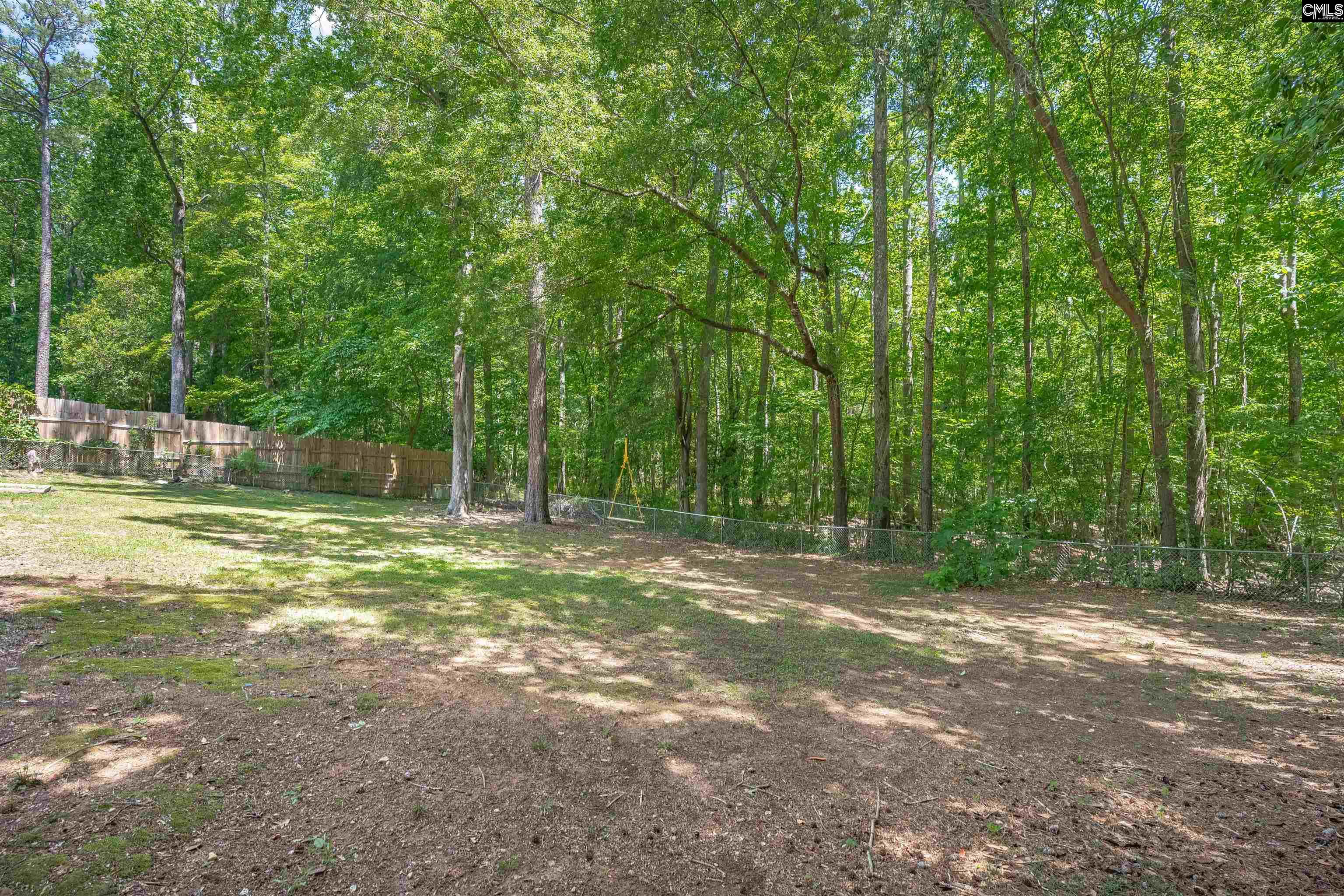 104 Horseshoe Trail, Lexington, South Carolina image 36