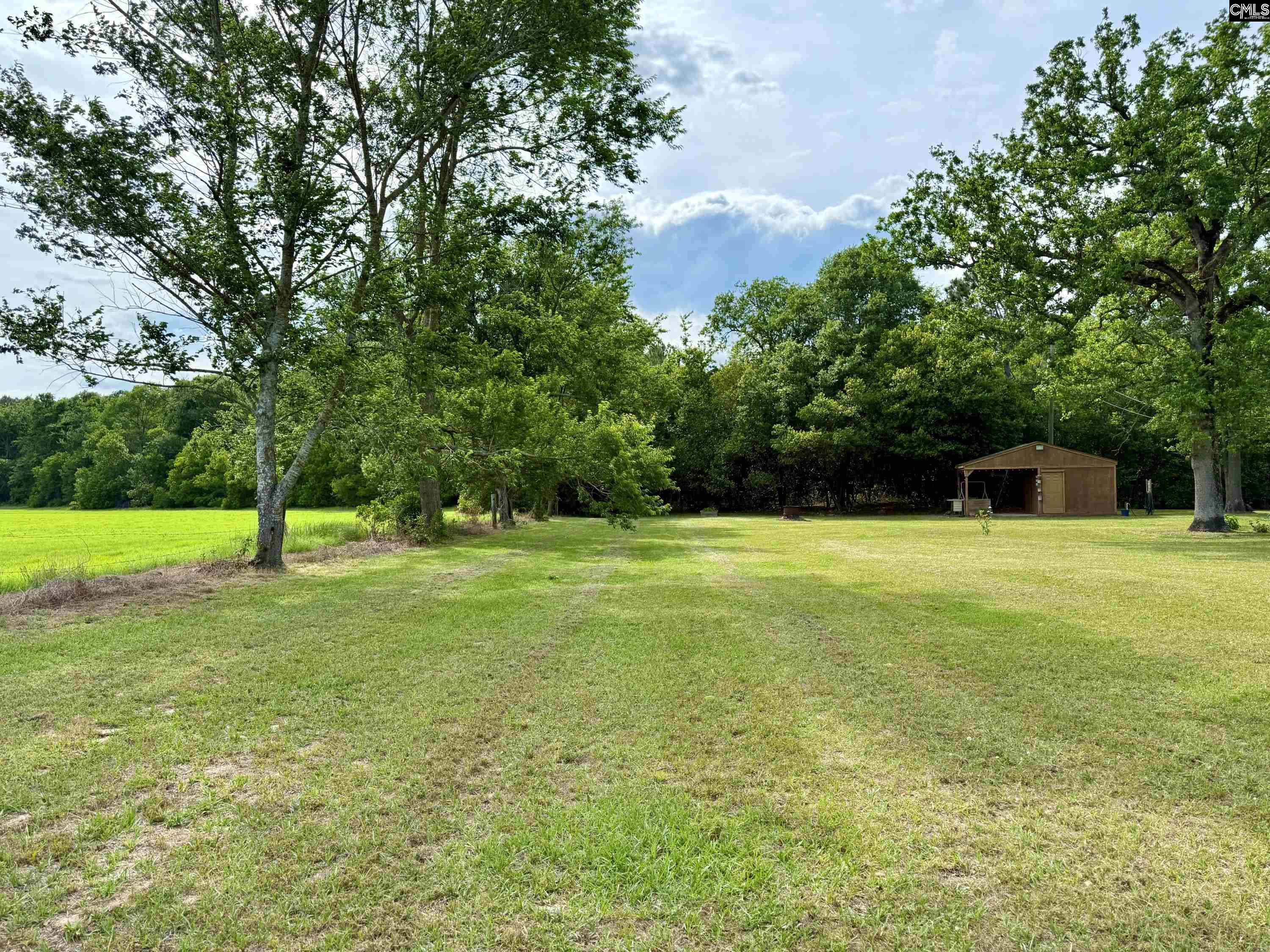 1056 Rish Drive, Leesville, South Carolina image 4