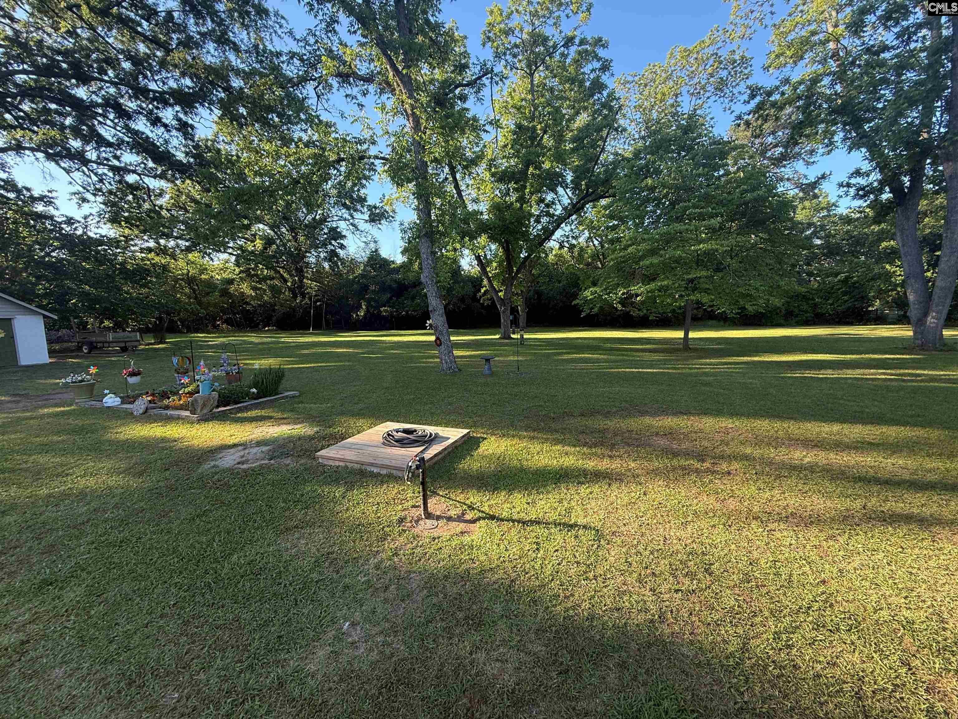 1006 West Main, Ridge Spring, South Carolina image 13