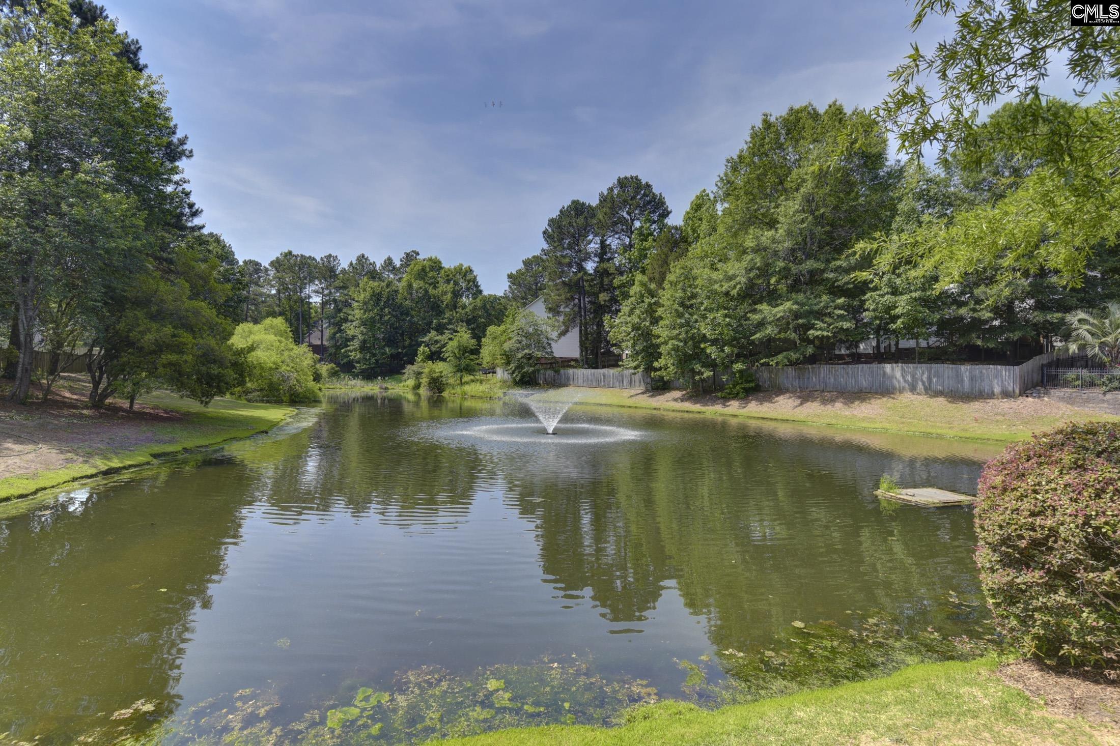 5 Stonewall Court, Irmo, South Carolina image 30