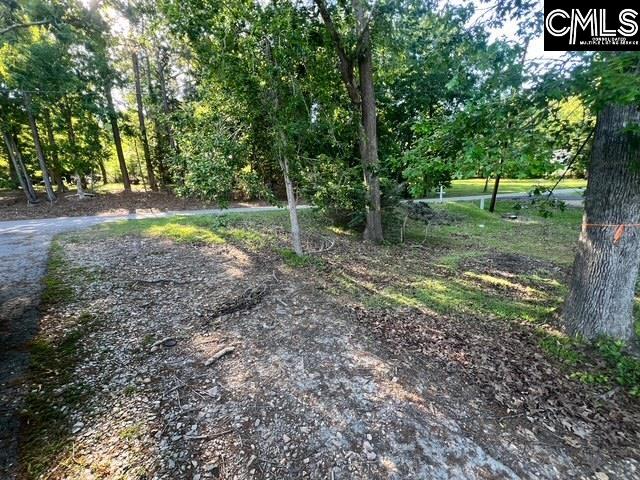 341 Horse Creek Road, Leesville, South Carolina image 6