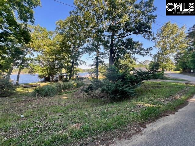 341 Horse Creek Road, Leesville, South Carolina image 7