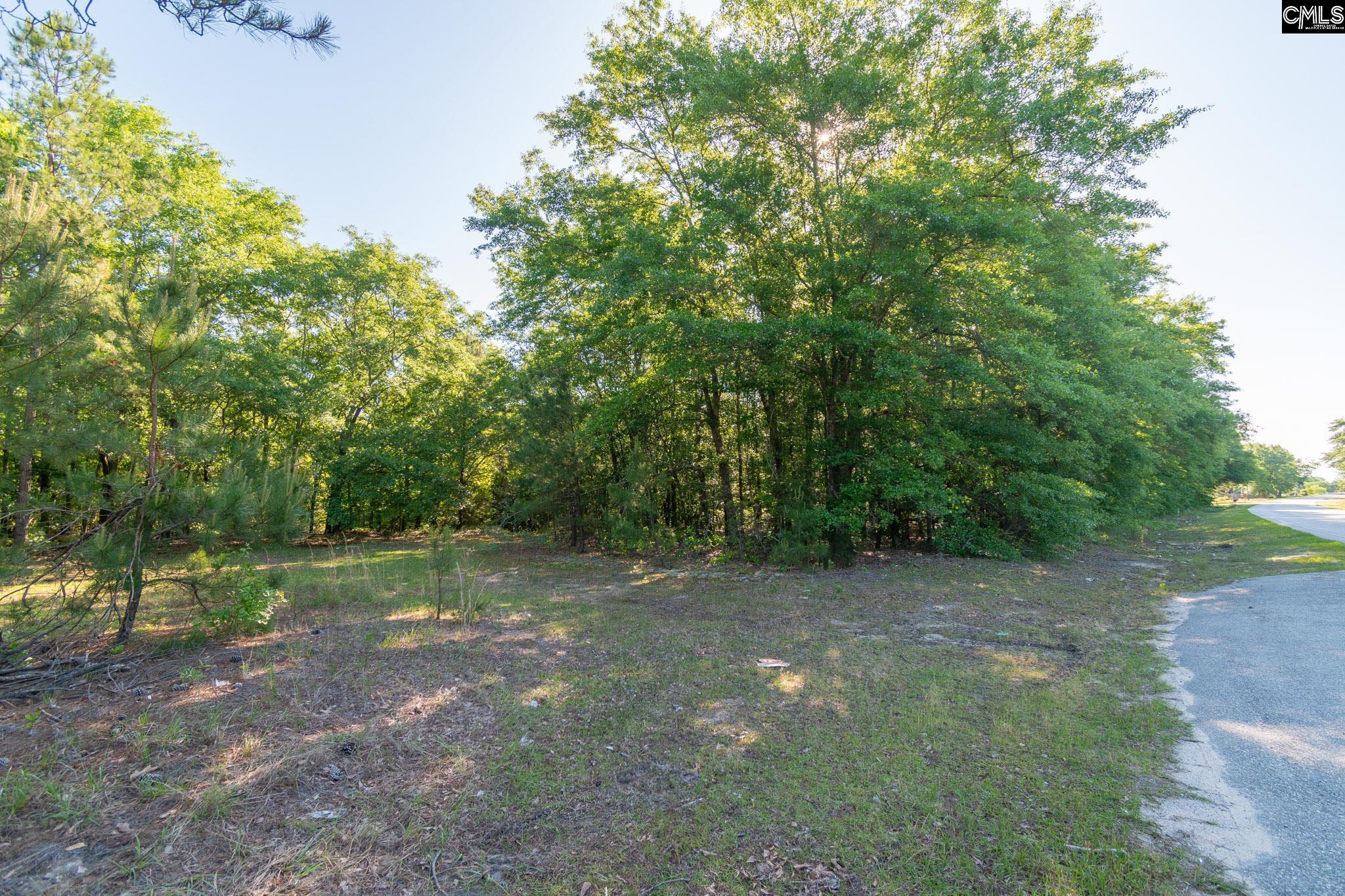 000 Airport Road, Pageland, South Carolina image 2