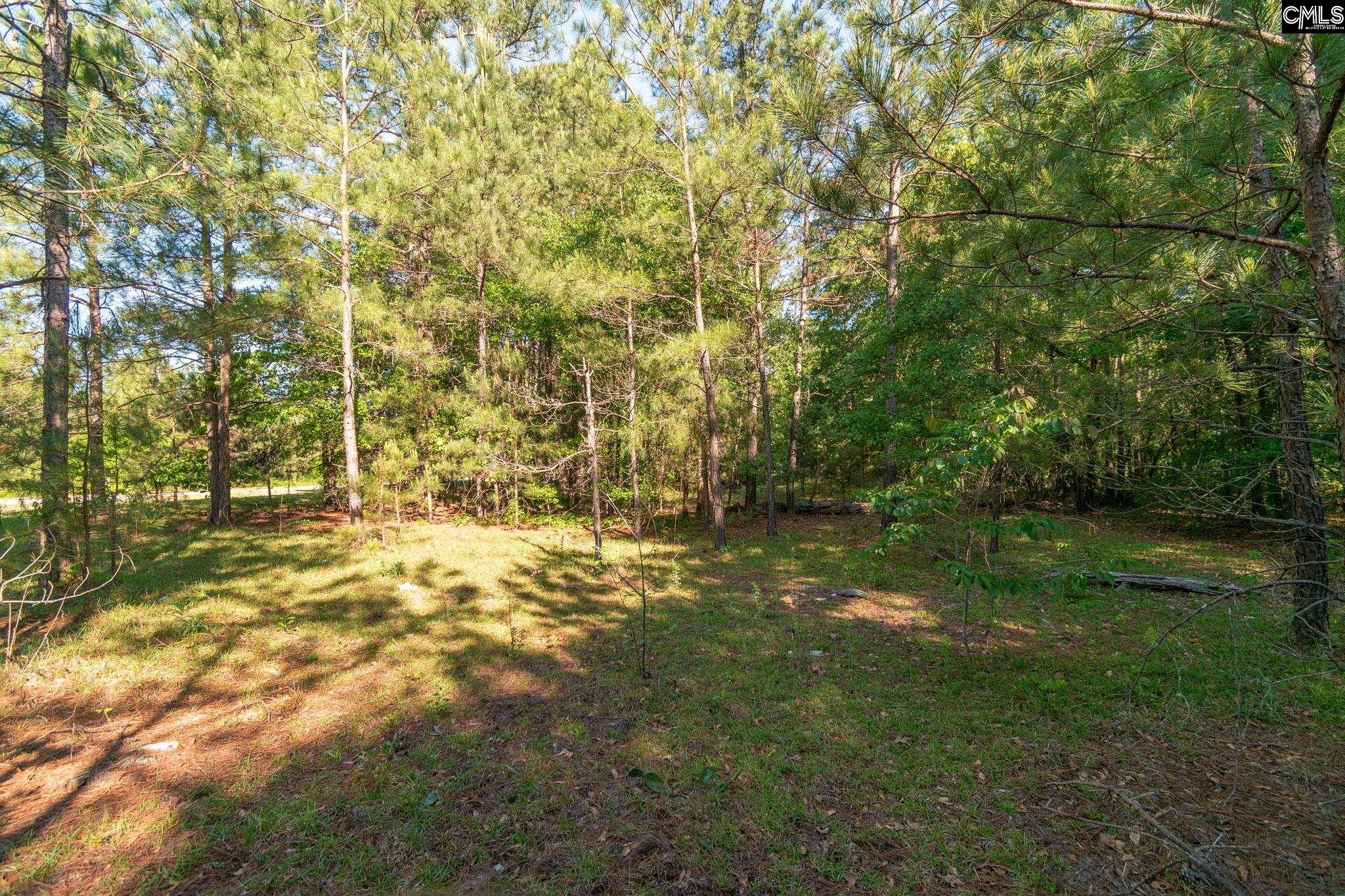 000 Airport Road, Pageland, South Carolina image 11