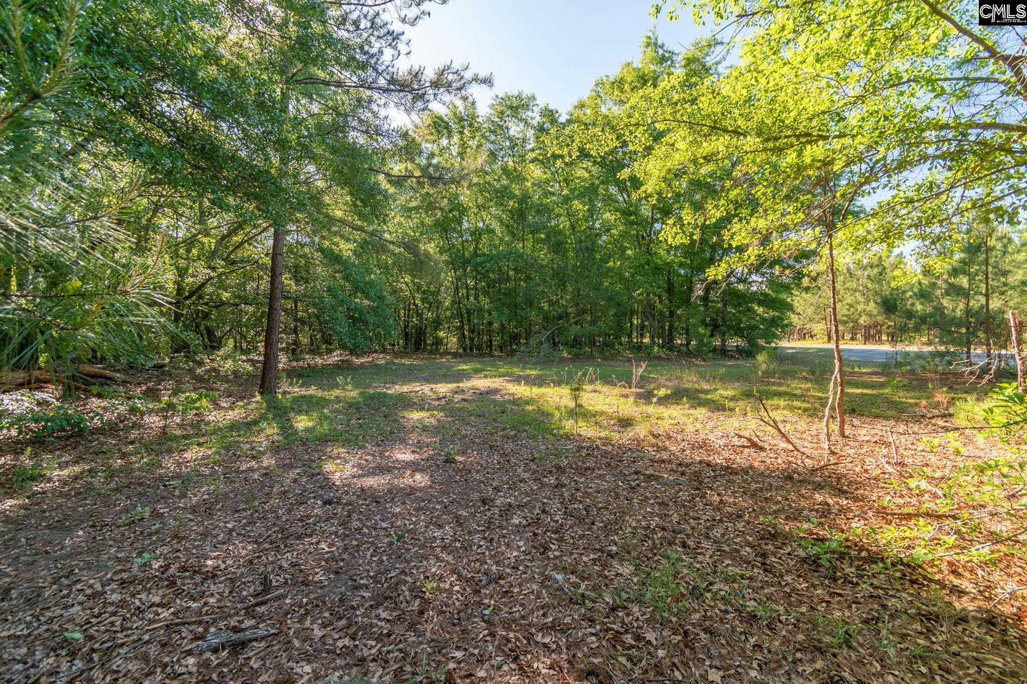000 Airport Road, Pageland, South Carolina image 12