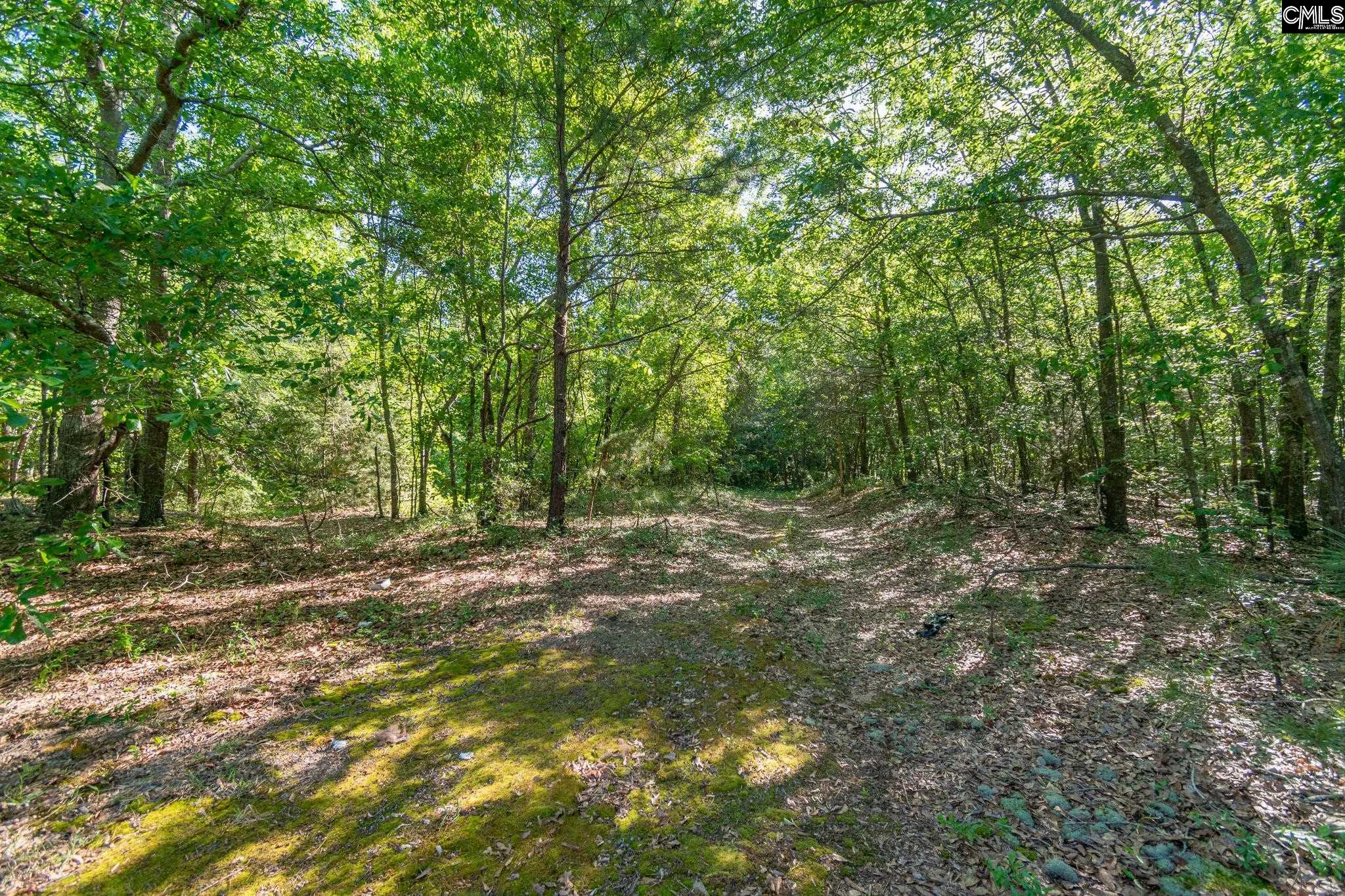 000 Airport Road, Pageland, South Carolina image 13