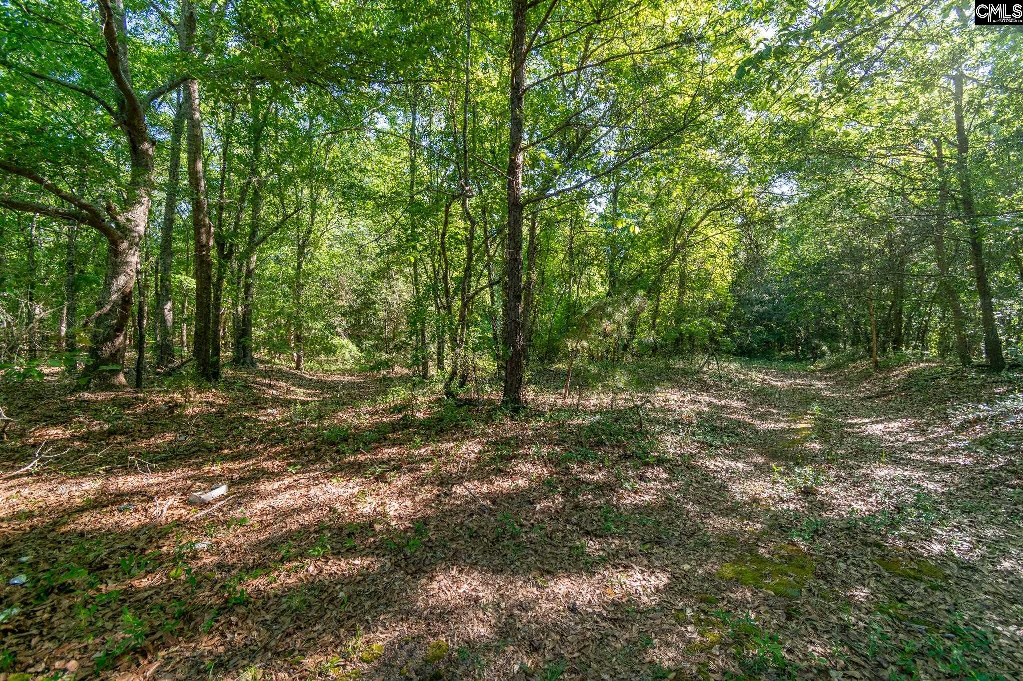 000 Airport Road, Pageland, South Carolina image 14